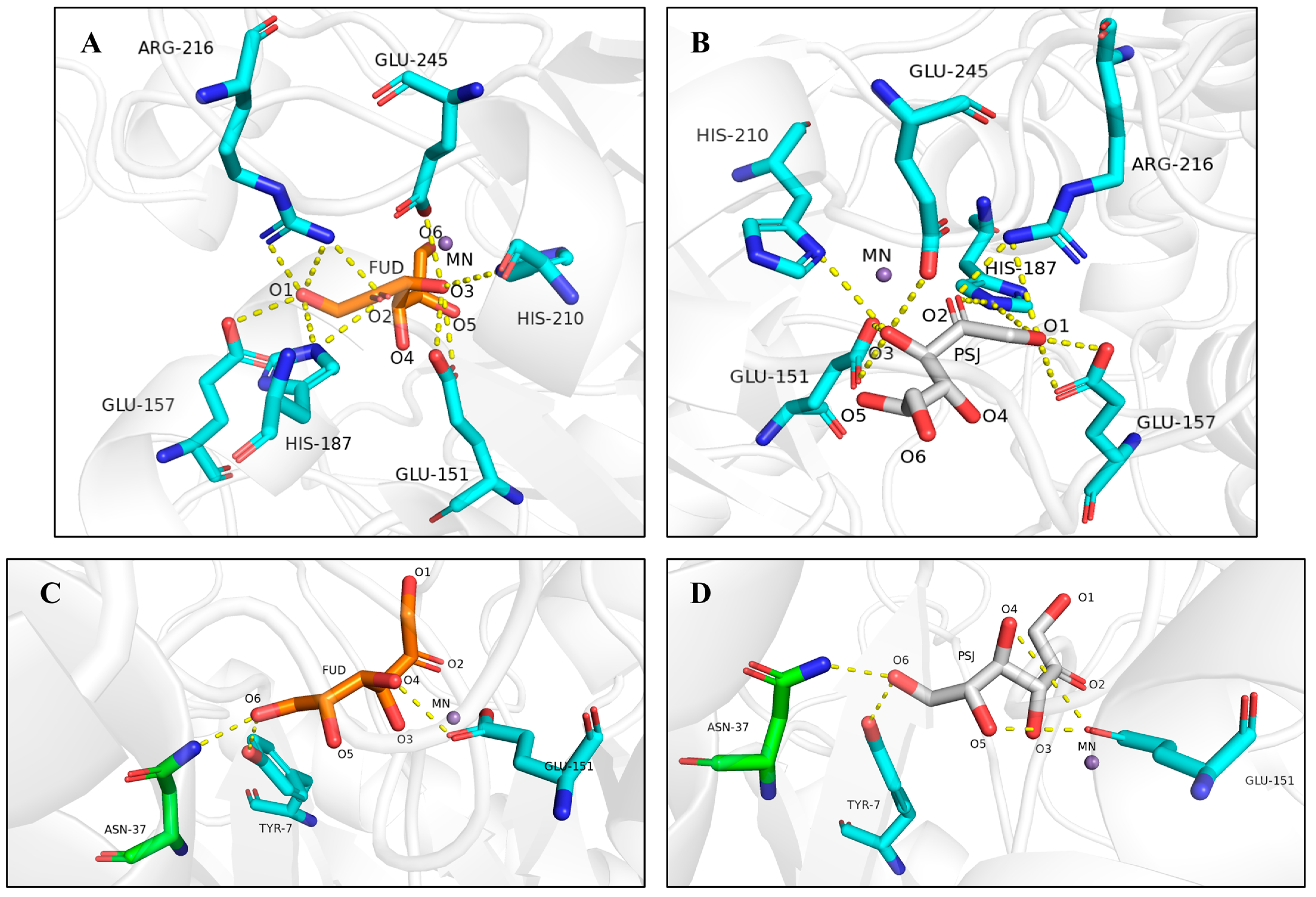 Foods 11 03225 g008 Foods 11 03225 g008
