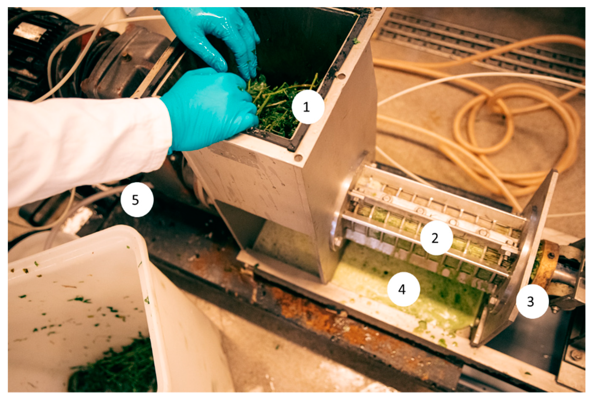 Foods 11 03229 g001 Foods 11 03229 g001