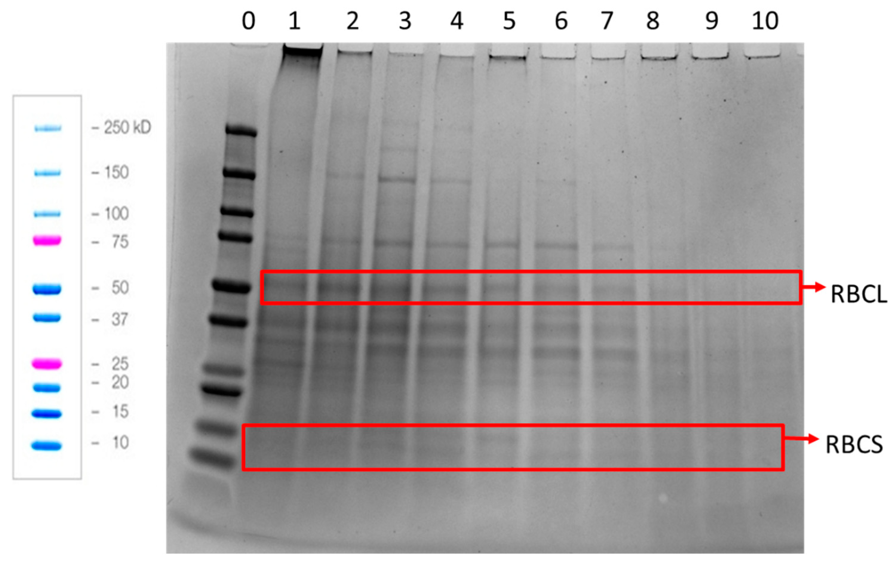 Foods 11 03229 g005 Foods 11 03229 g005