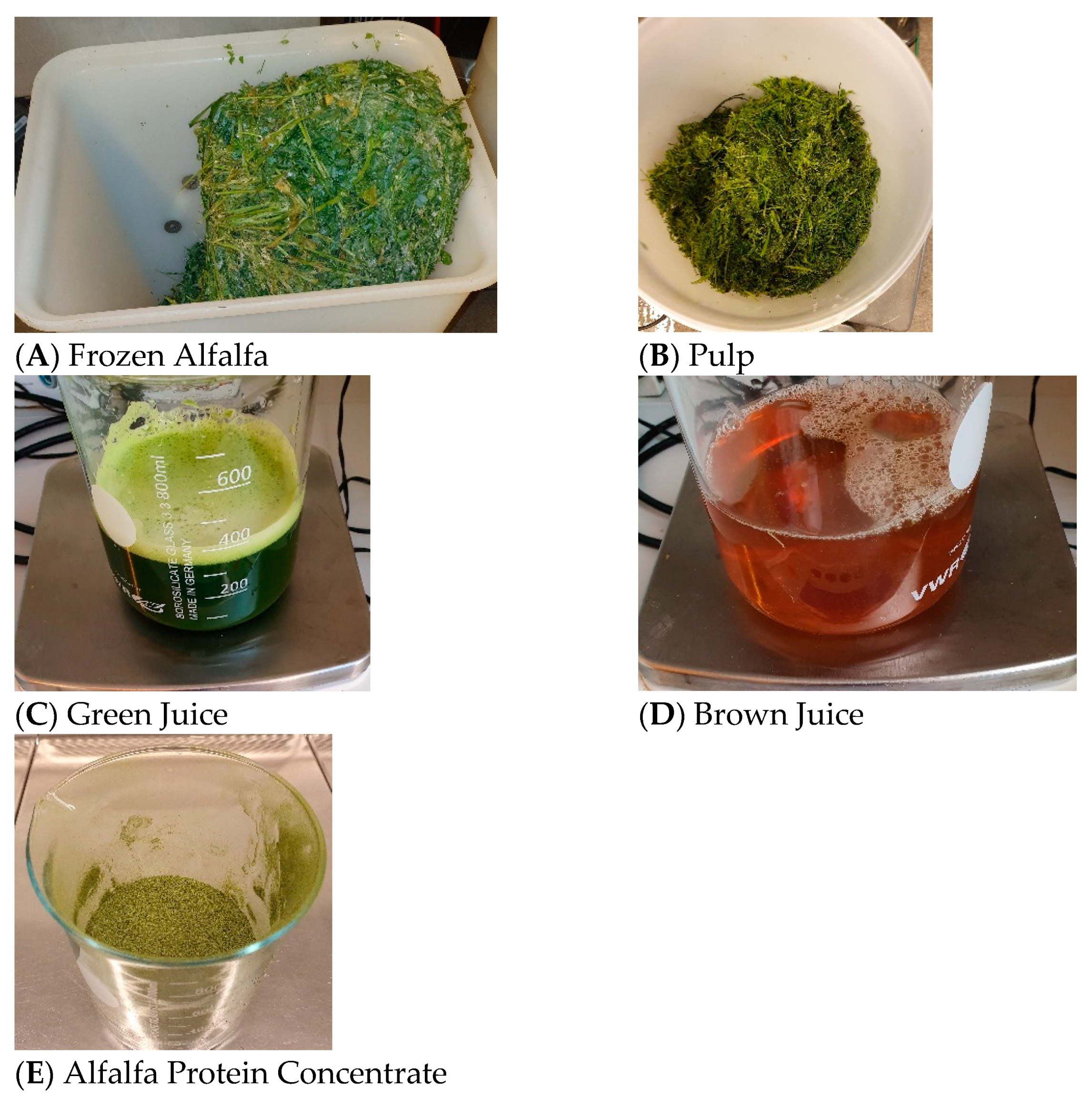 Foods 11 03229 g0a1 Foods 11 03229 g0a1