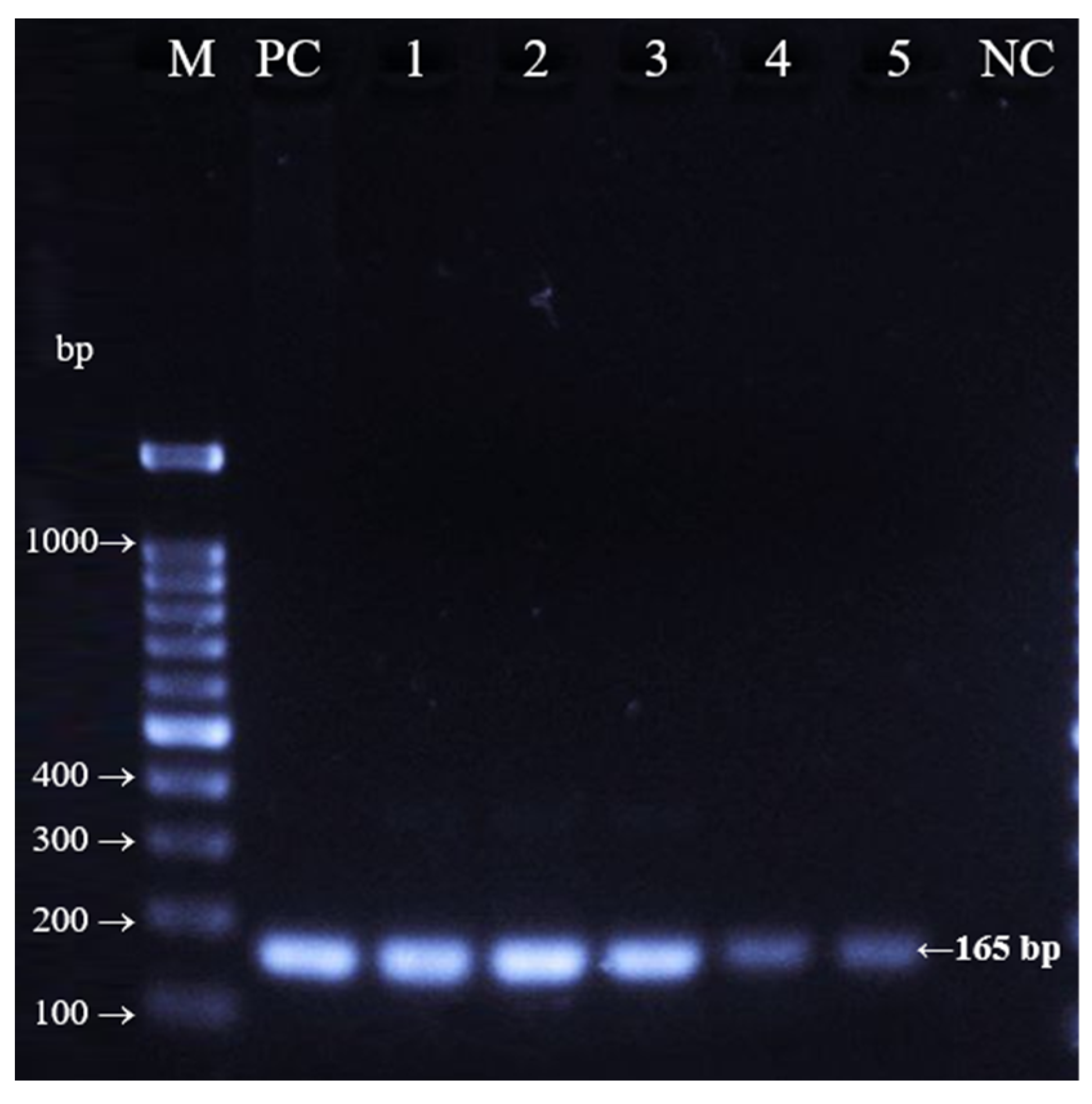 Foods 11 03235 g001 Foods 11 03235 g001