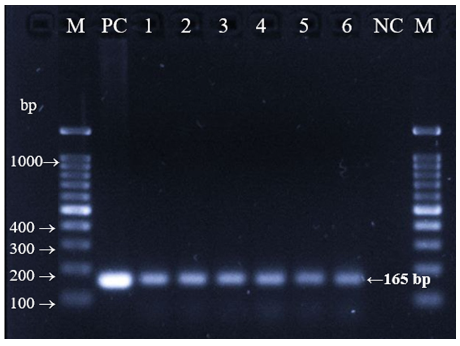 Foods 11 03235 g002 Foods 11 03235 g002