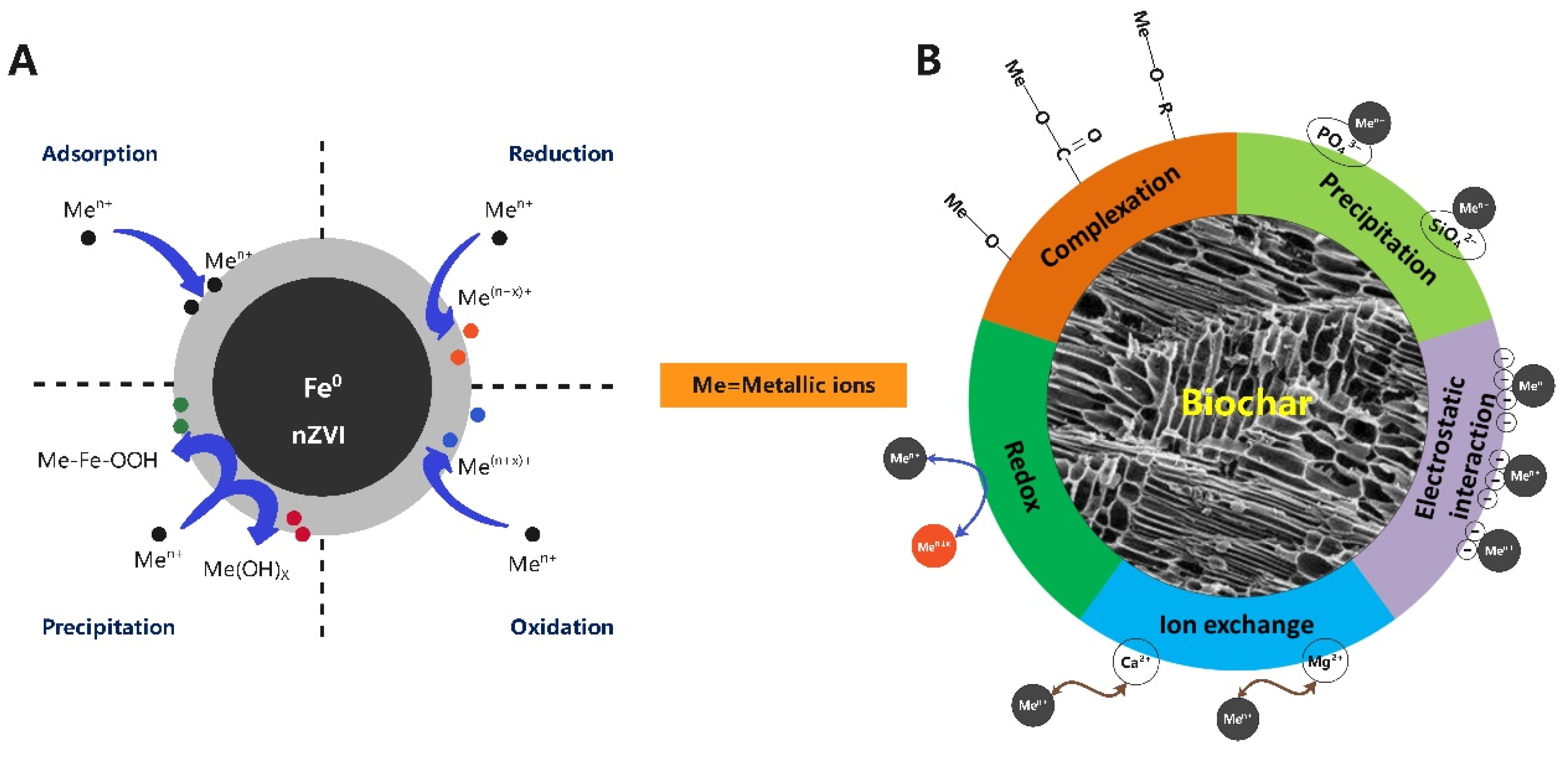 Foods 11 03256 g005 Foods 11 03256 g005