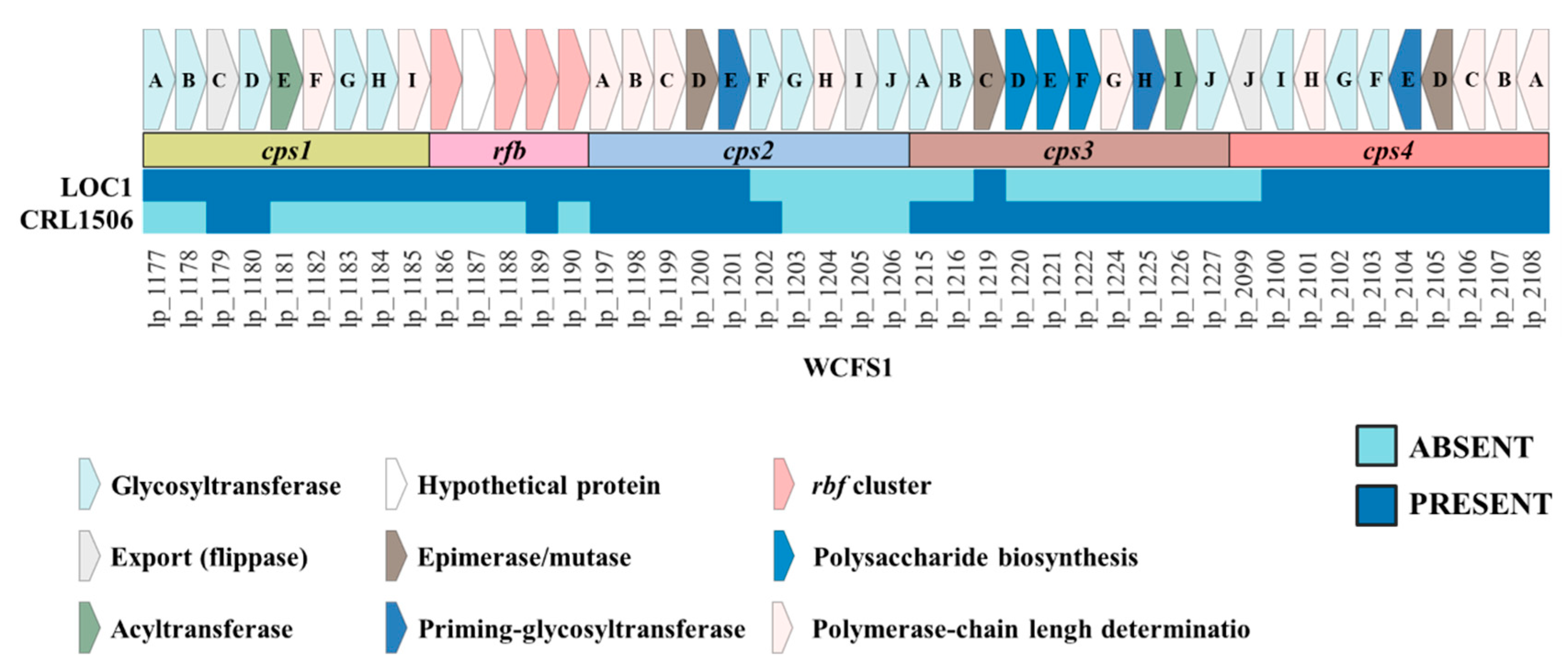 Foods 11 03257 g011 Foods 11 03257 g011