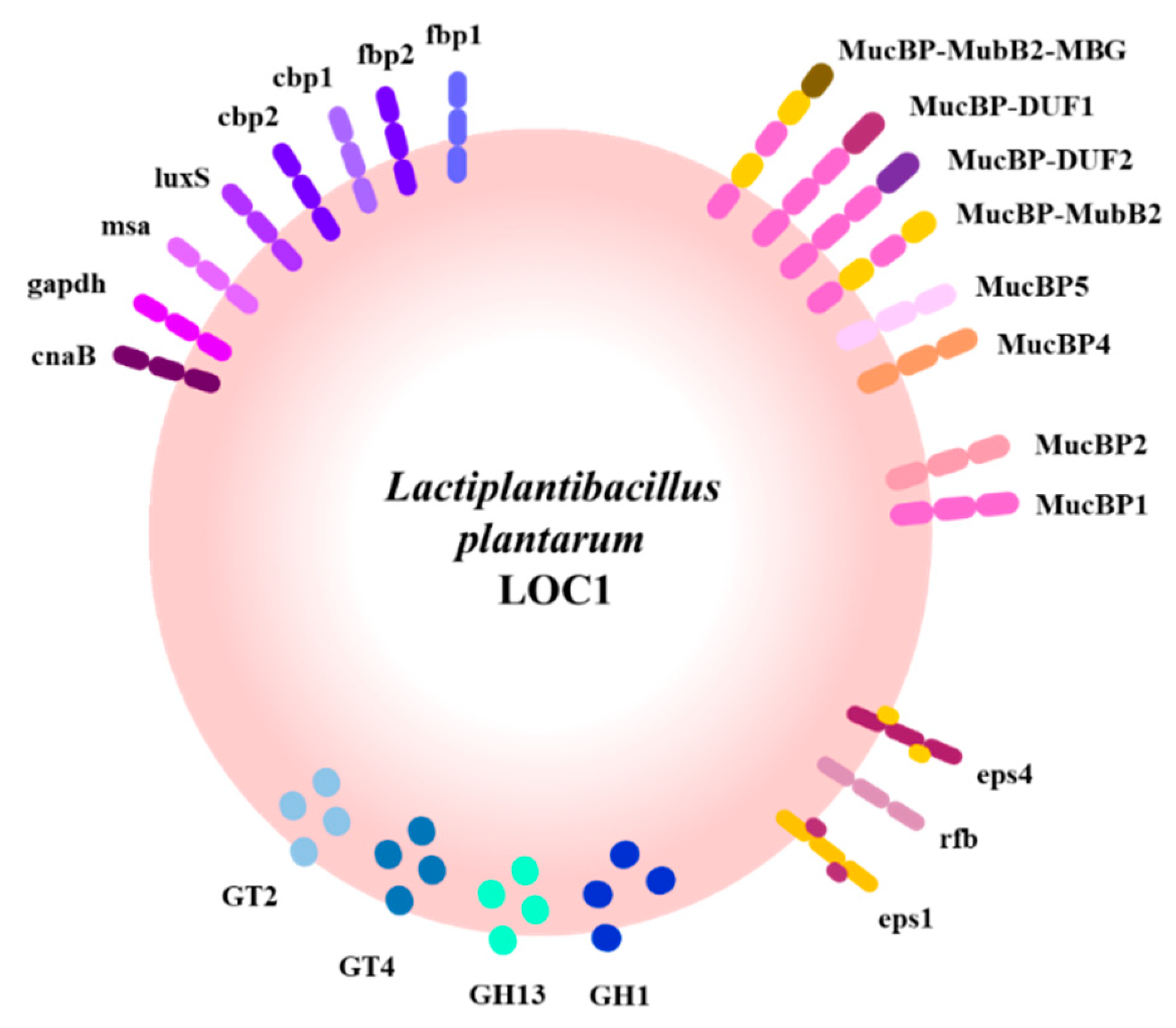 Foods 11 03257 g013 Foods 11 03257 g013