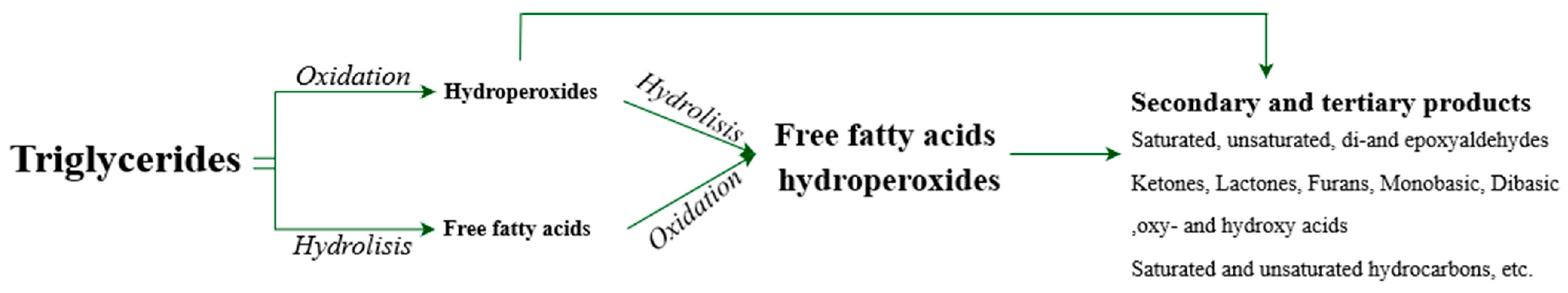 Foods 11 03258 g009 Foods 11 03258 g009