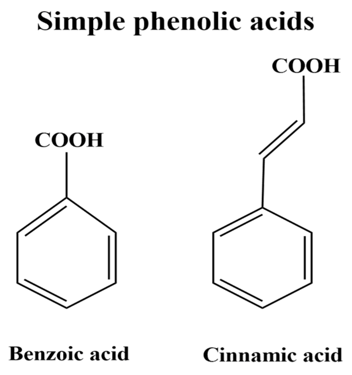 Foods 11 03258 g013 Foods 11 03258 g013
