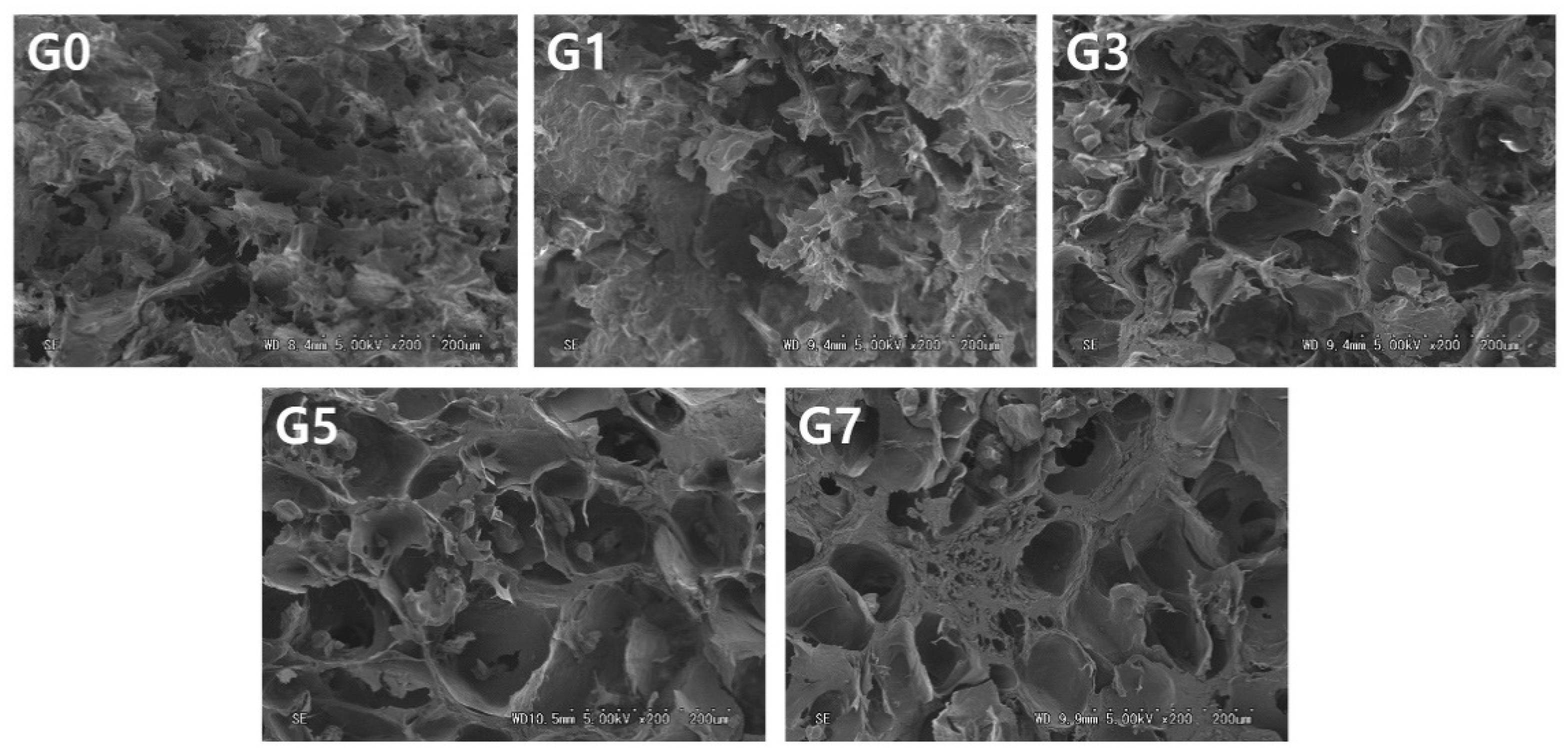 Foods 11 03262 g005 Foods 11 03262 g005