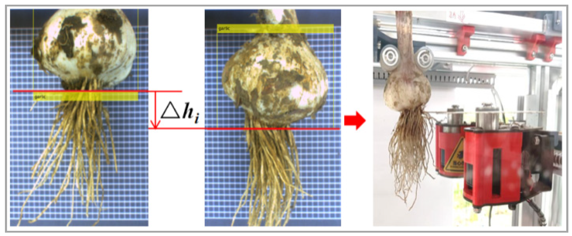 Foods 11 03268 g005 Foods 11 03268 g005