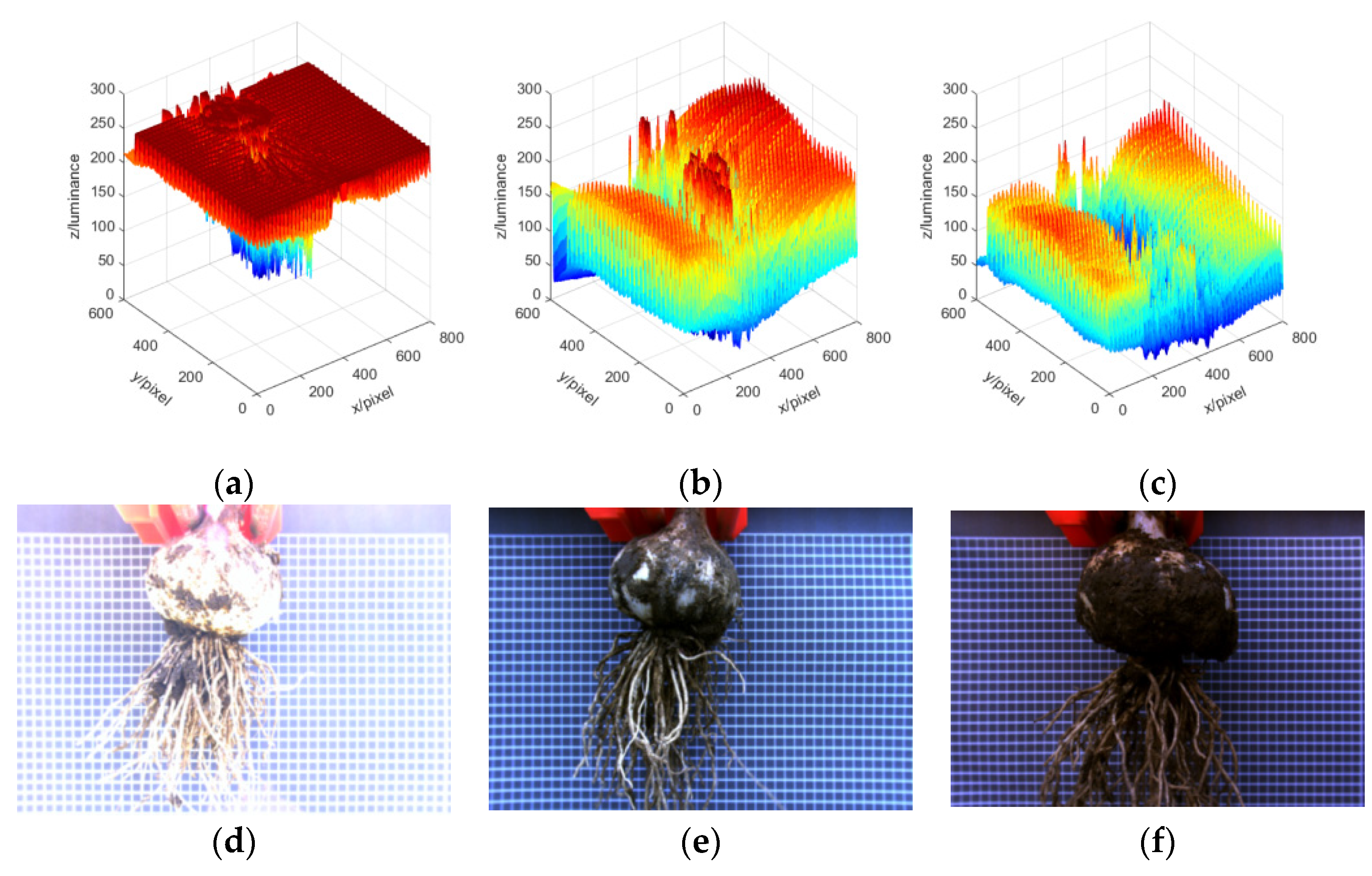 Foods 11 03268 g006 Foods 11 03268 g006