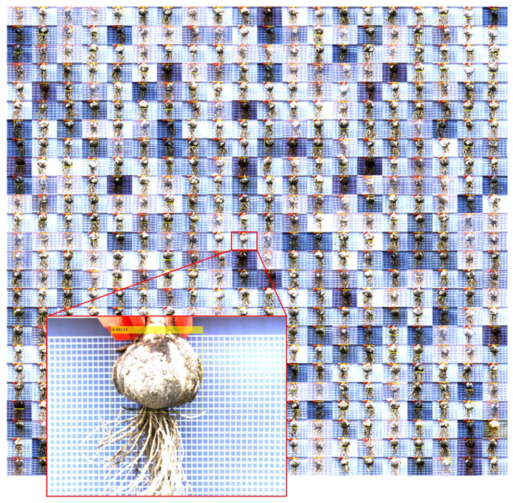 Foods 11 03268 g011 Foods 11 03268 g011