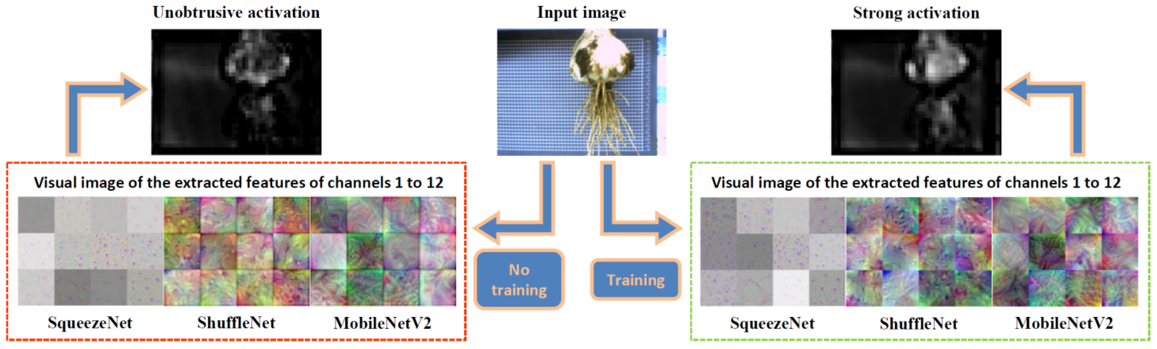 Foods 11 03268 g013 Foods 11 03268 g013