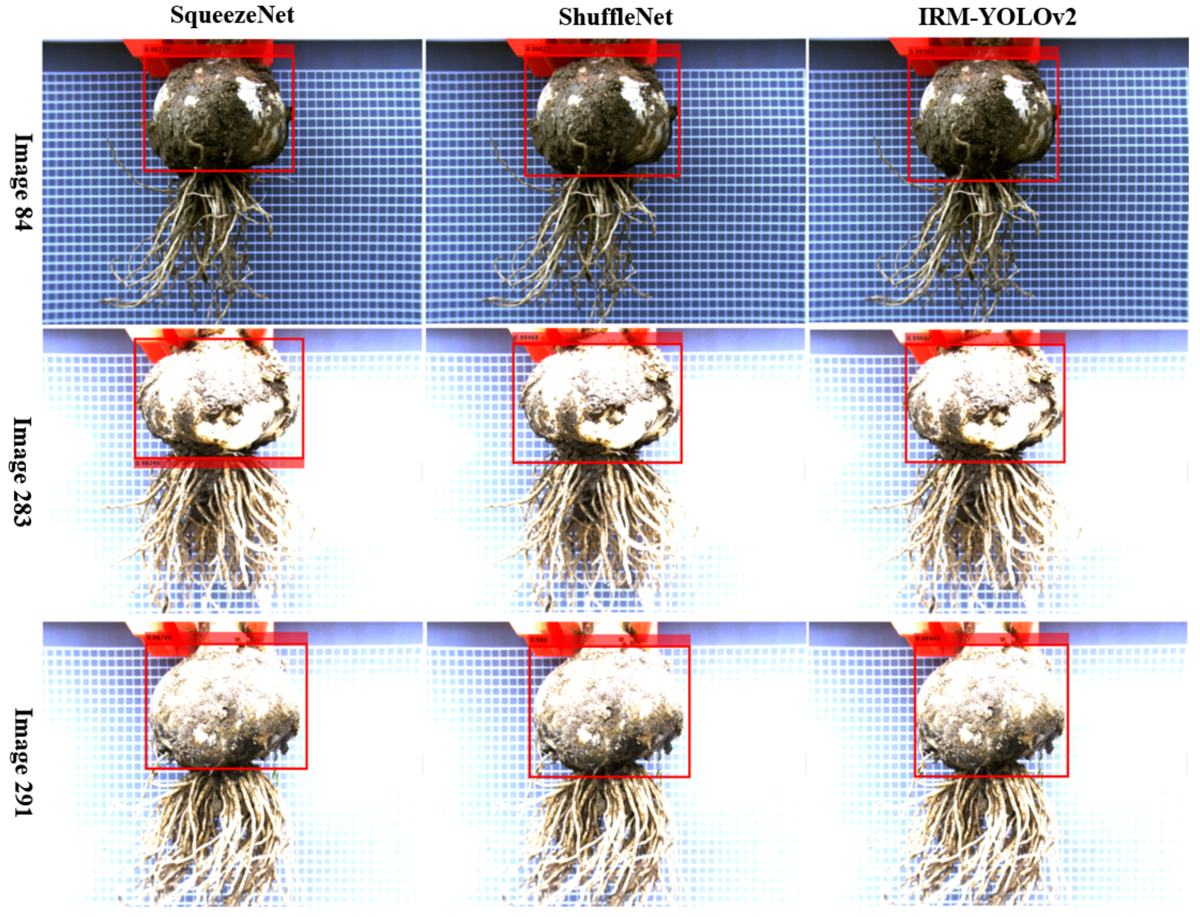 Foods 11 03268 g014 Foods 11 03268 g014