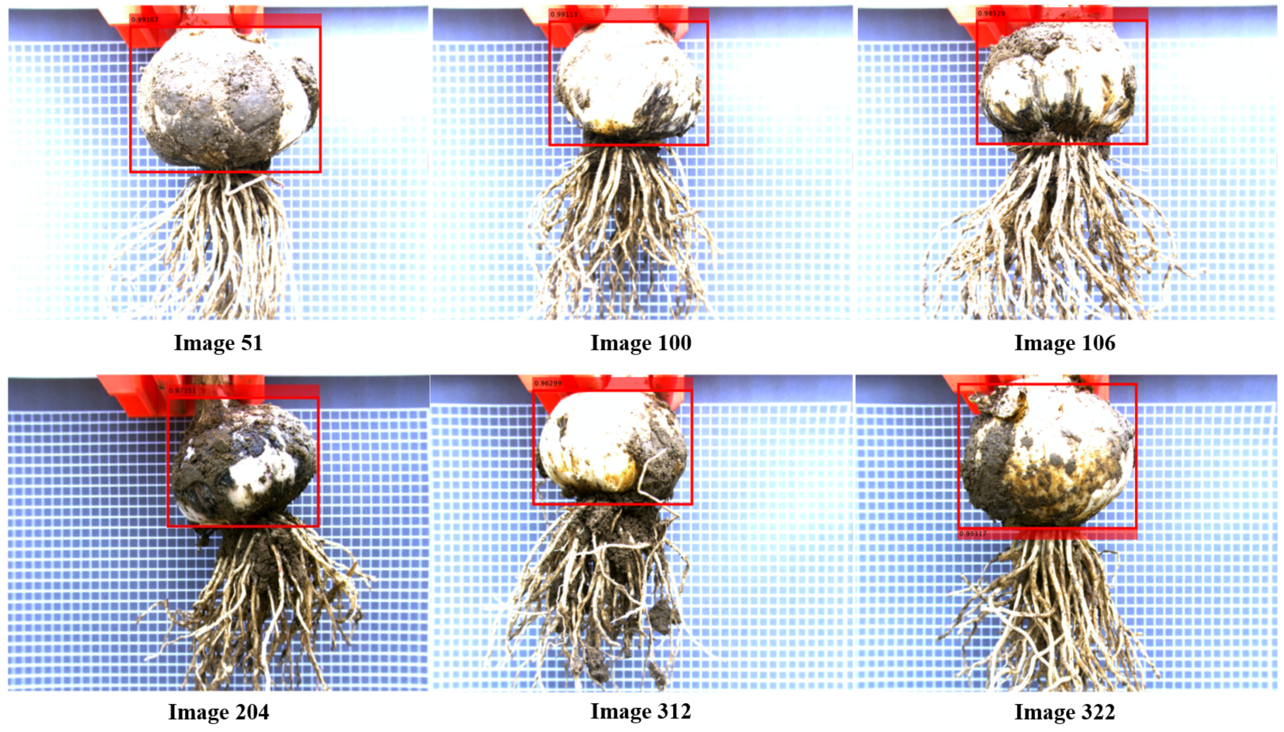 Foods 11 03268 g017 Foods 11 03268 g017