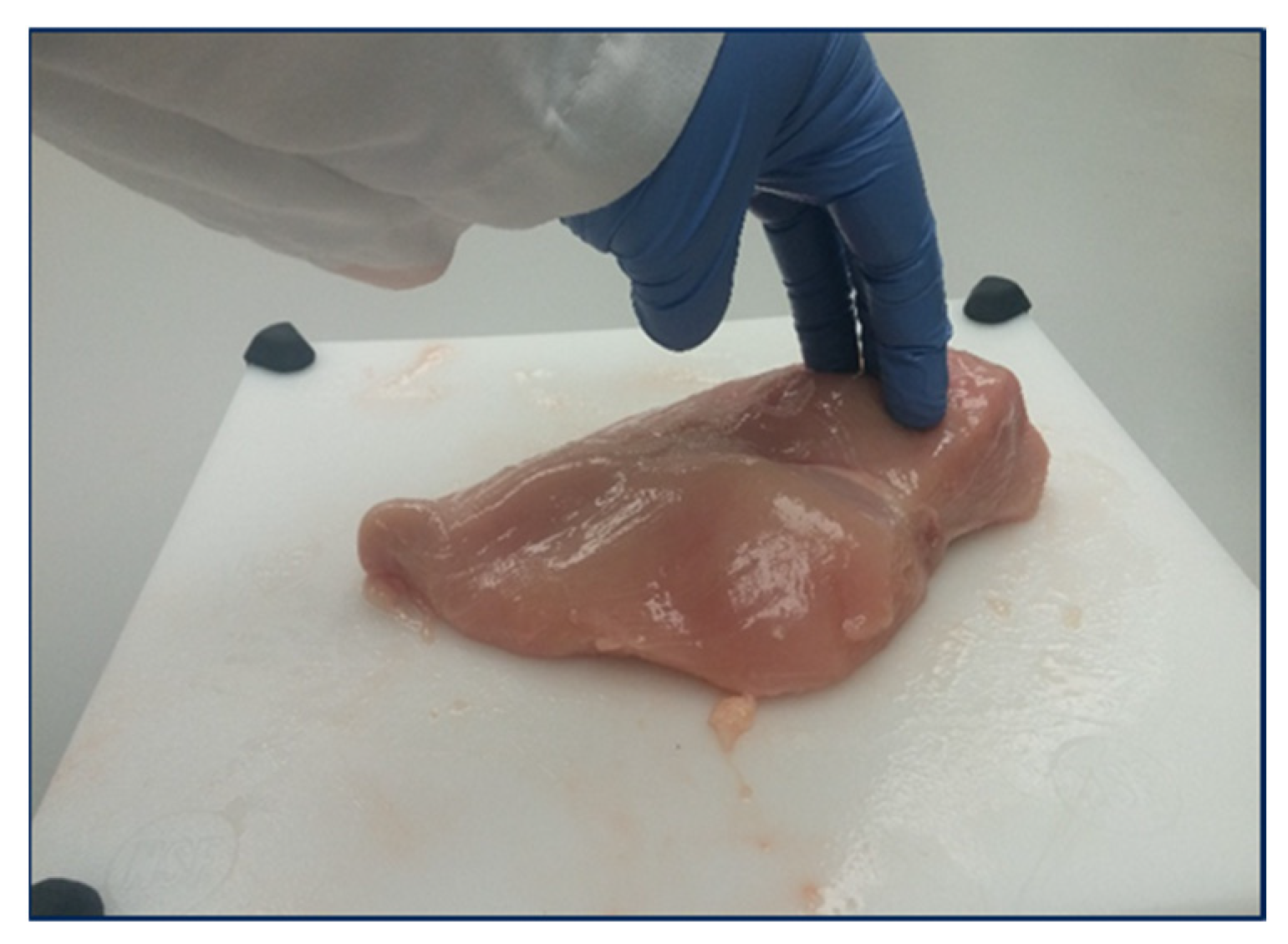 Foods 11 03270 g001 Foods 11 03270 g001