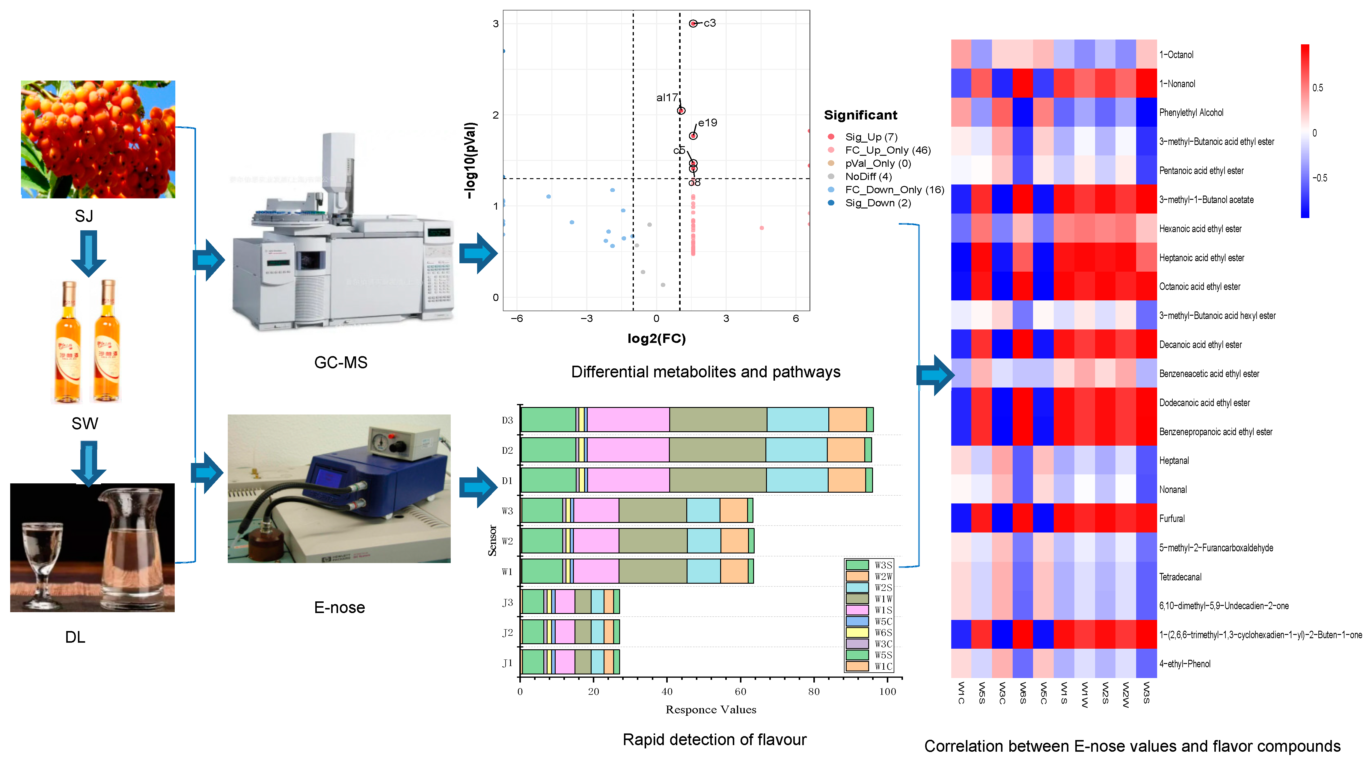 Foods 11 03273 g001 Foods 11 03273 g001