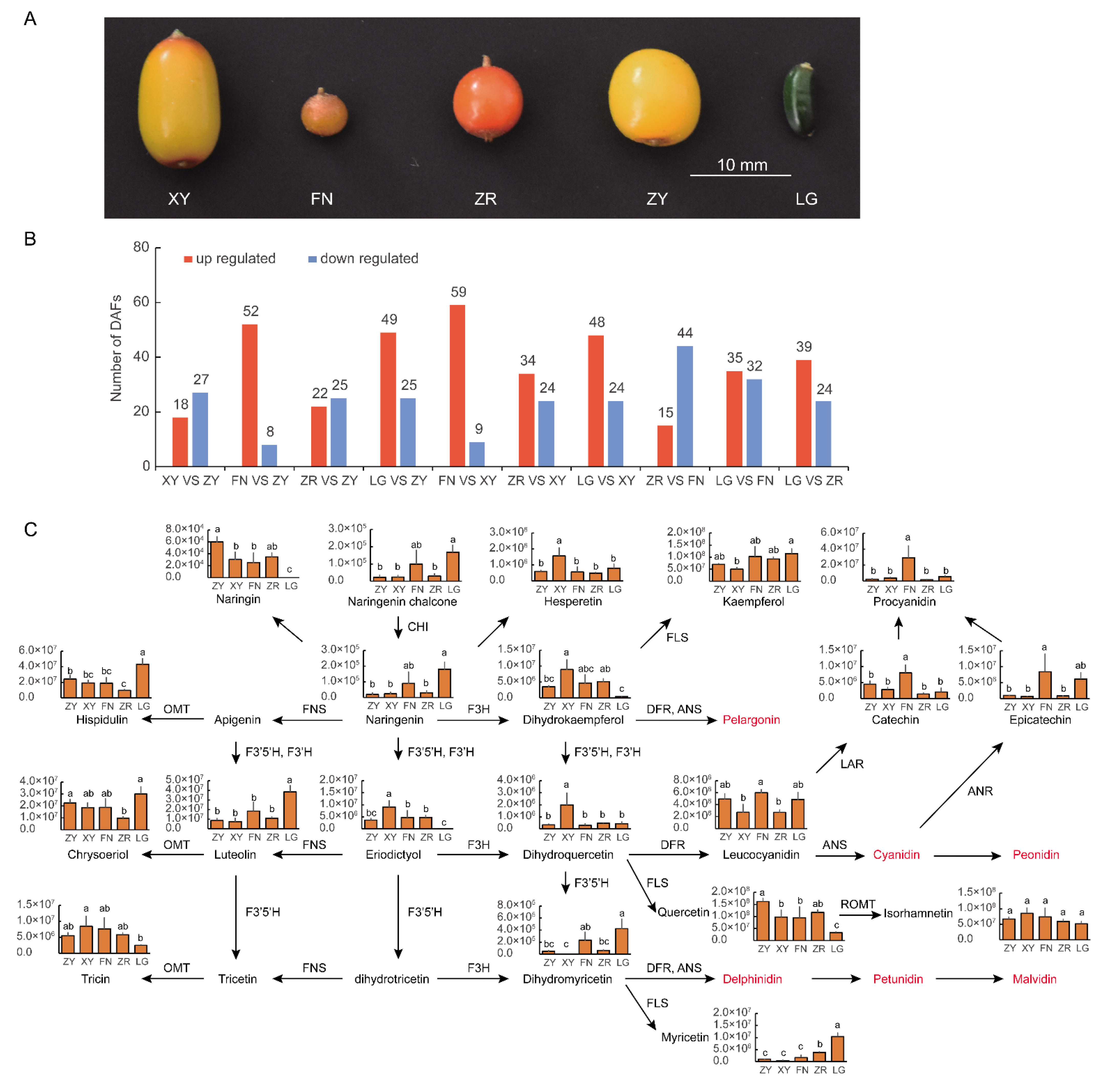 Foods 11 03278 g001 Foods 11 03278 g001