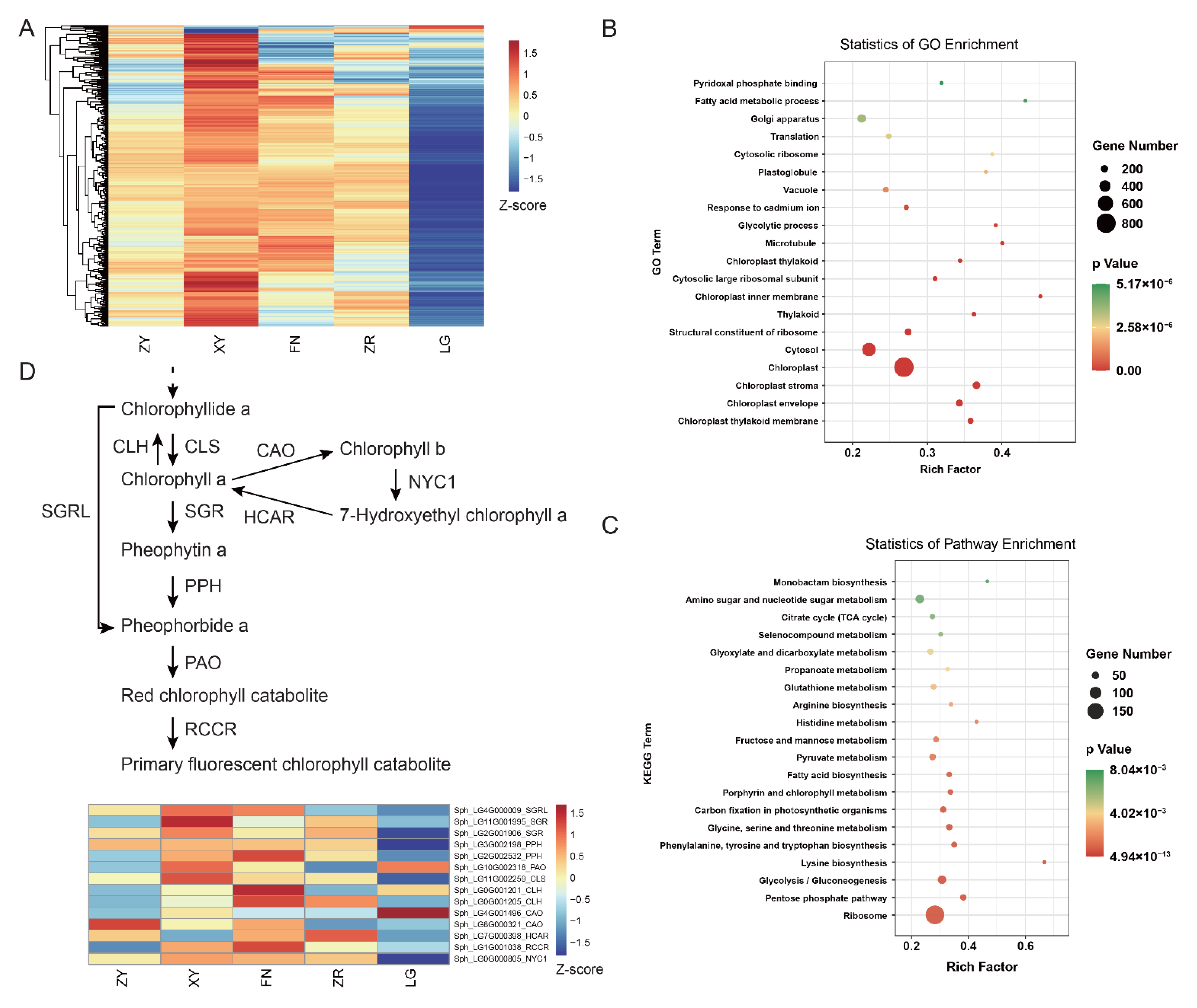 Foods 11 03278 g005 Foods 11 03278 g005
