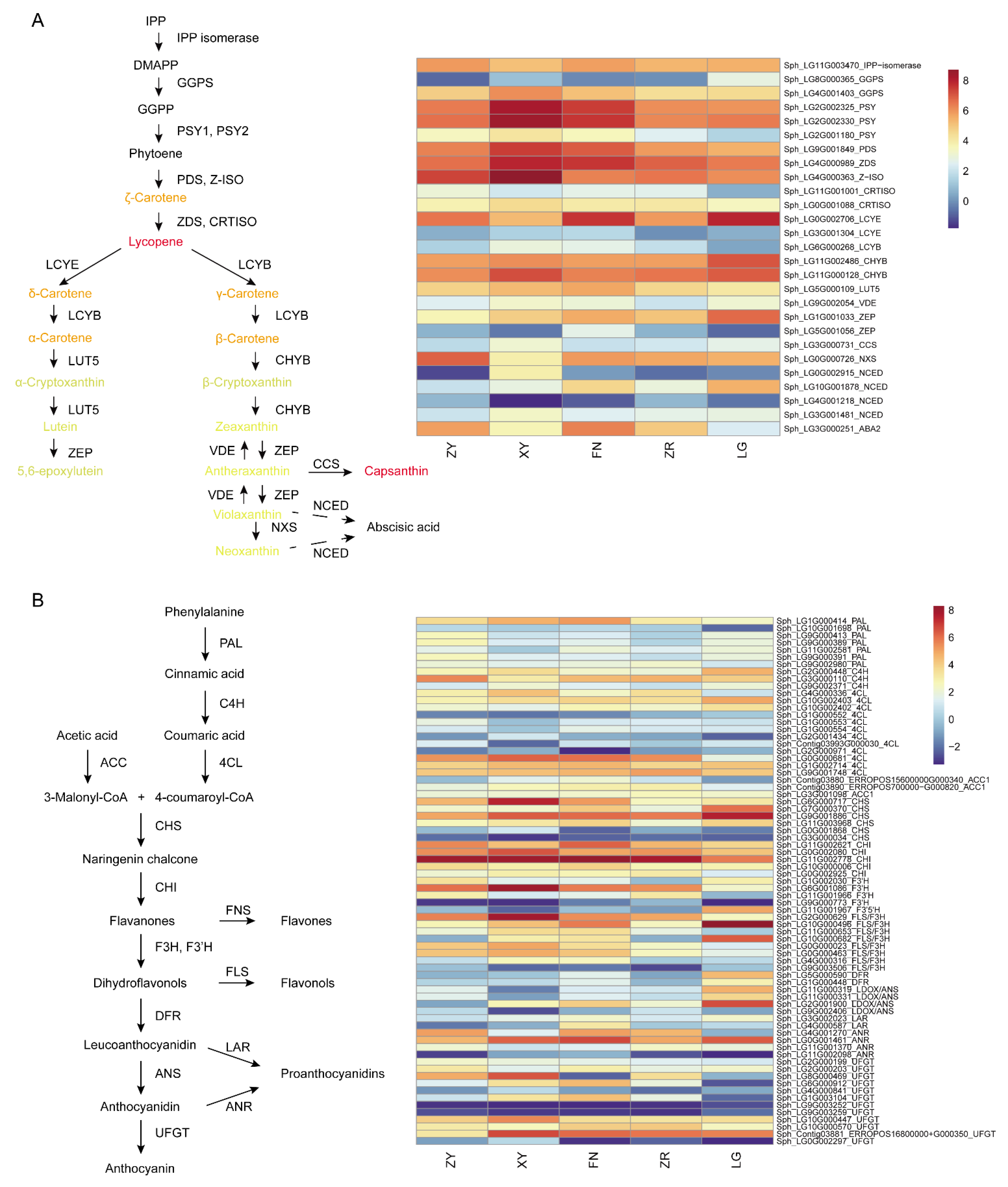 Foods 11 03278 g006 Foods 11 03278 g006