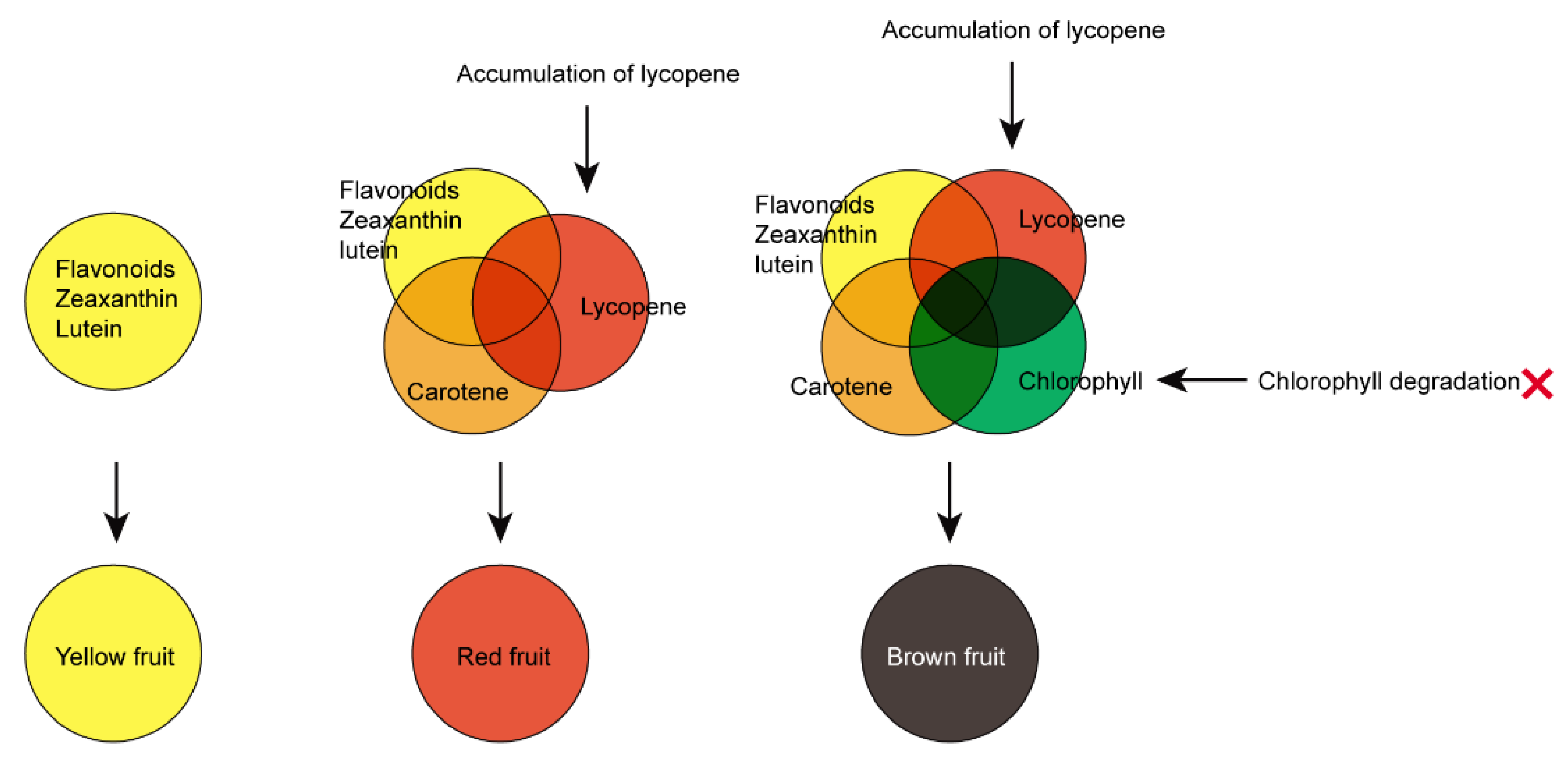 Foods 11 03278 g007 Foods 11 03278 g007