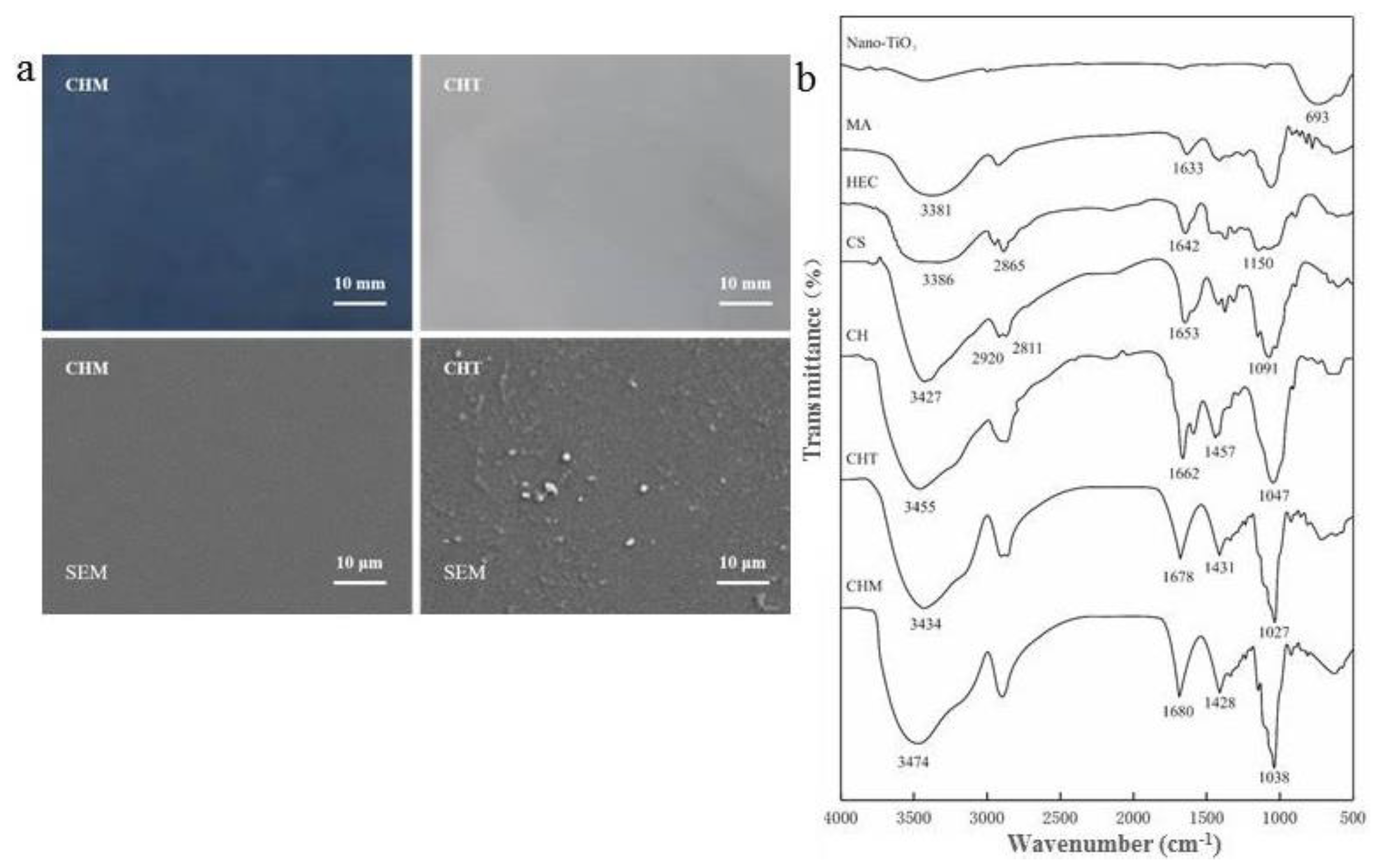 Foods 11 03286 g002 Foods 11 03286 g002