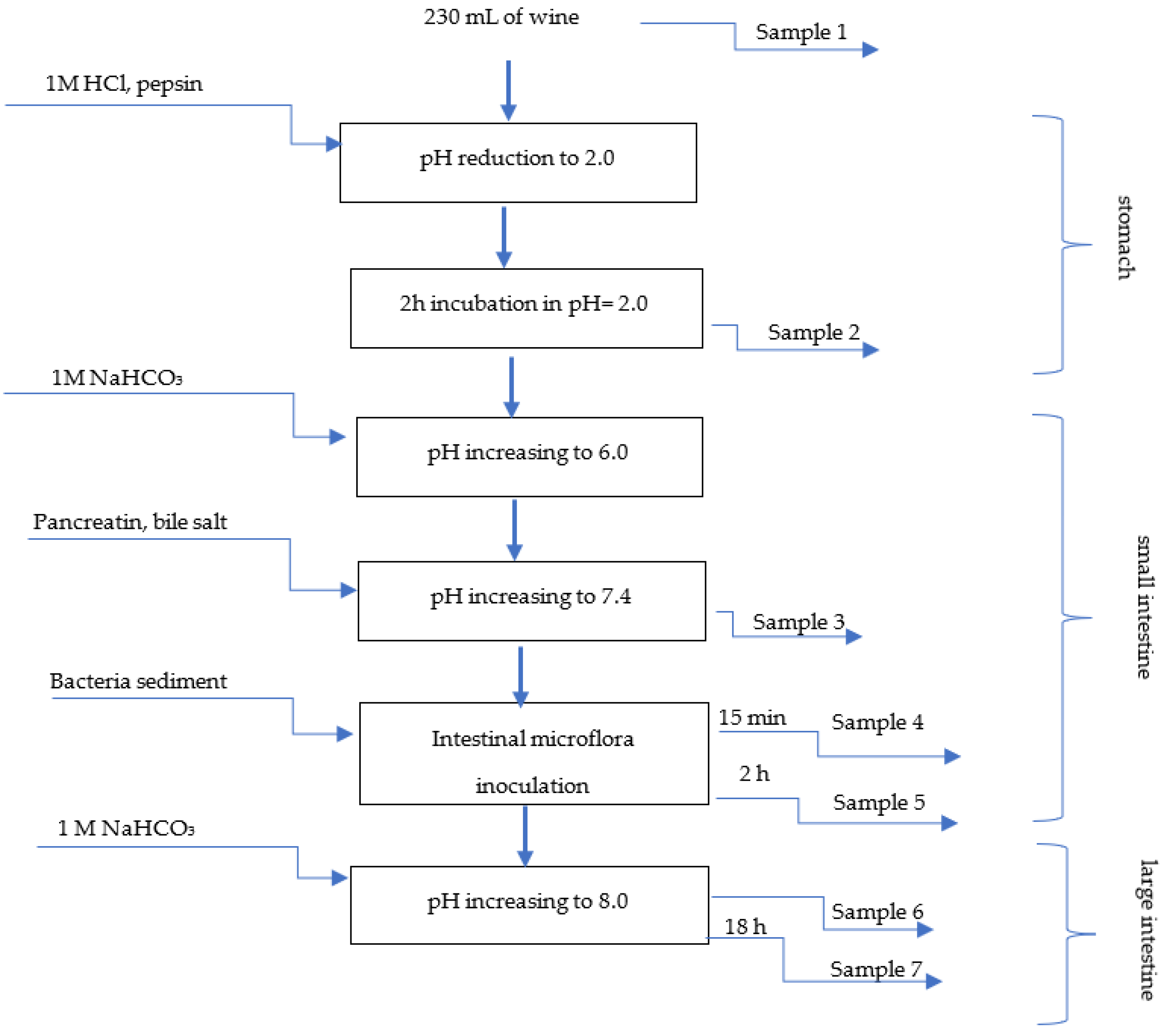 Foods 11 03298 g001 Foods 11 03298 g001