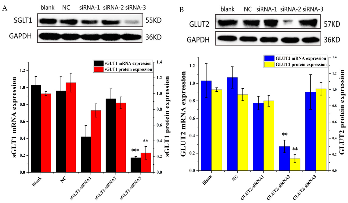 Foods 11 03299 g002 Foods 11 03299 g002