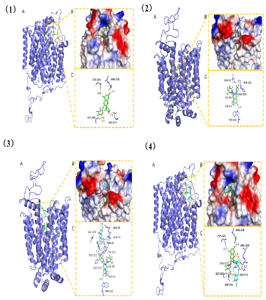 Foods 11 03299 g006 Foods 11 03299 g006