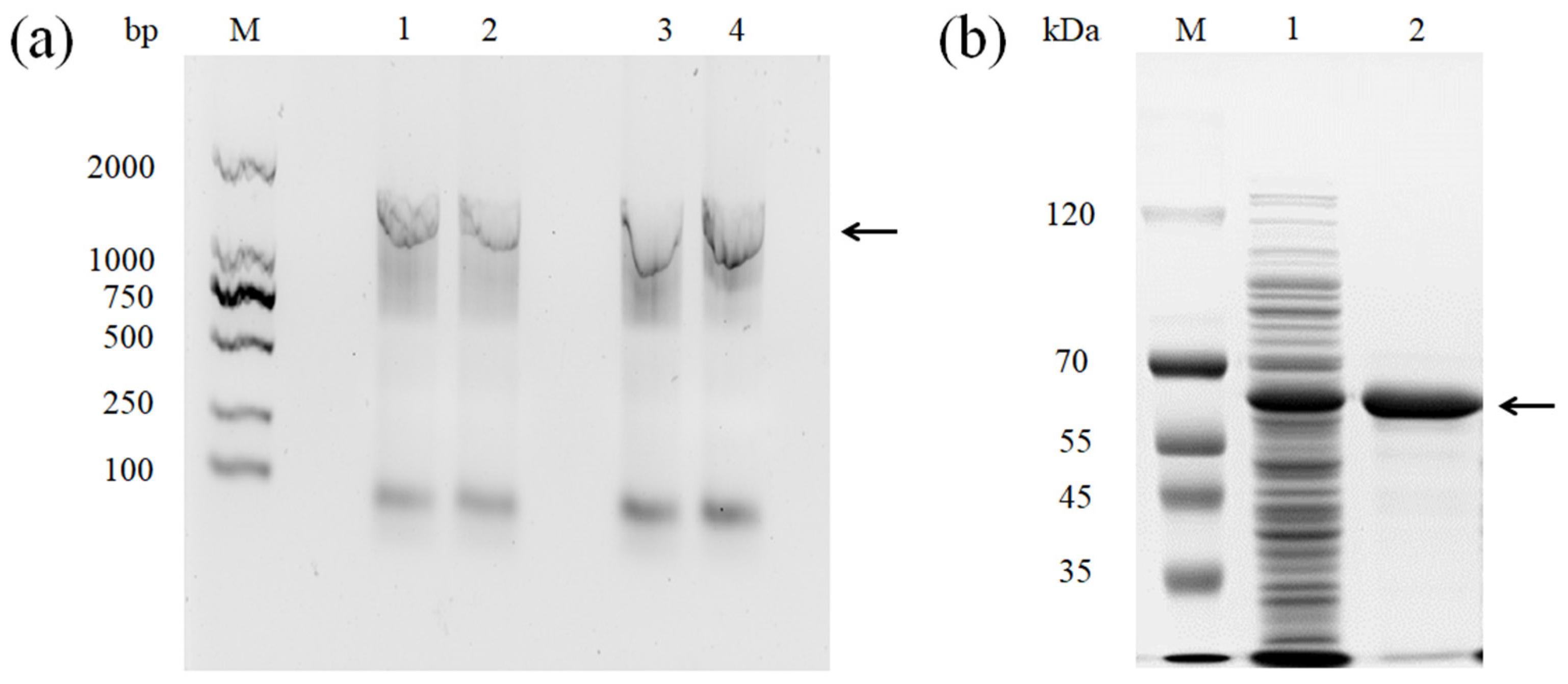 Foods 11 03306 g001 Foods 11 03306 g001