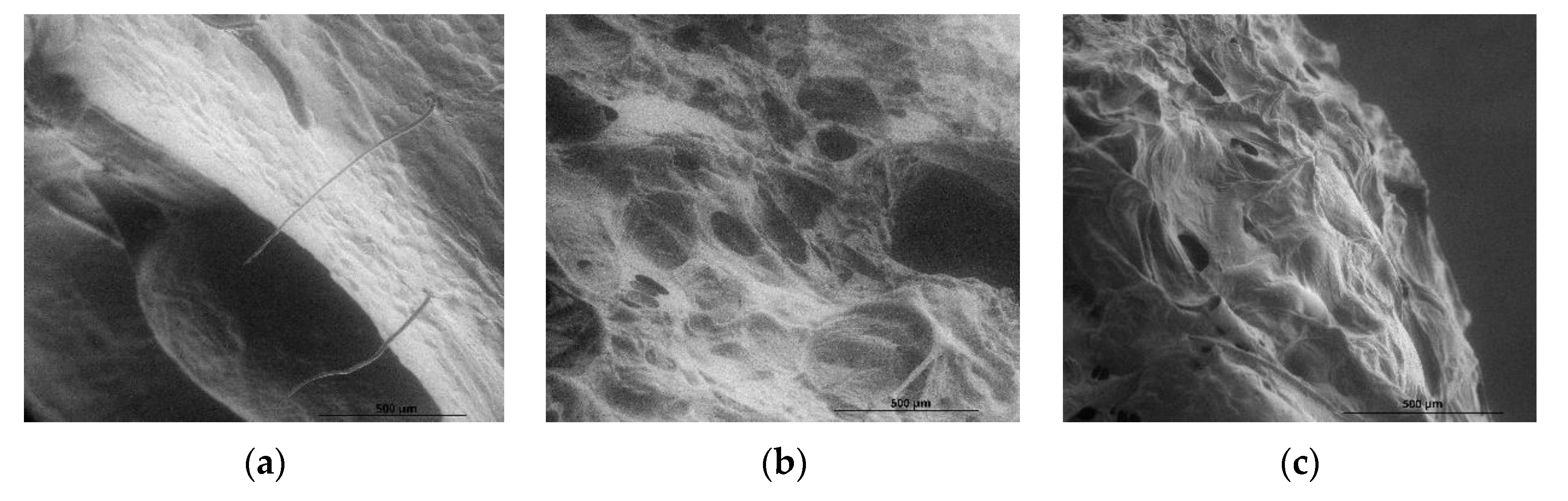 Foods 11 03317 g002a Foods 11 03317 g002a