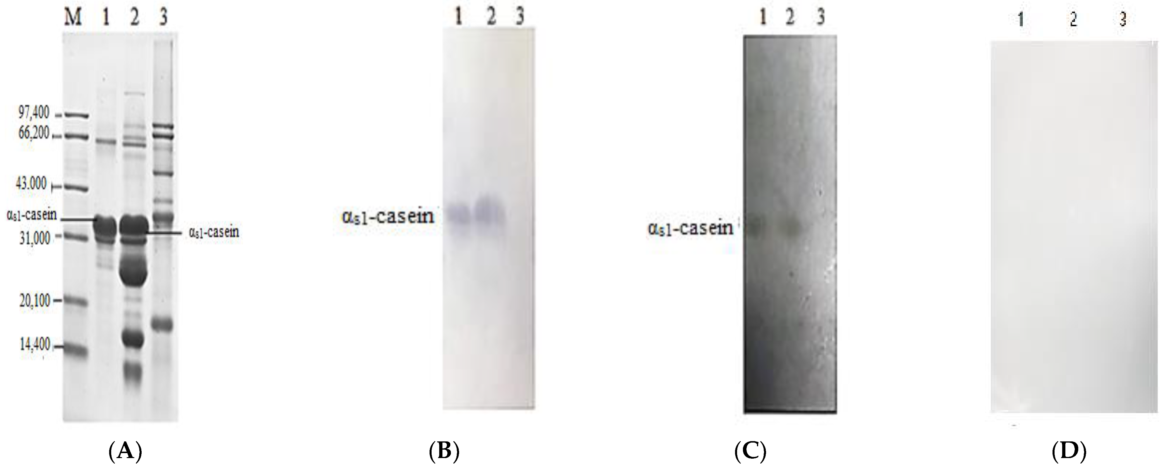 Foods 11 03322 g002 Foods 11 03322 g002