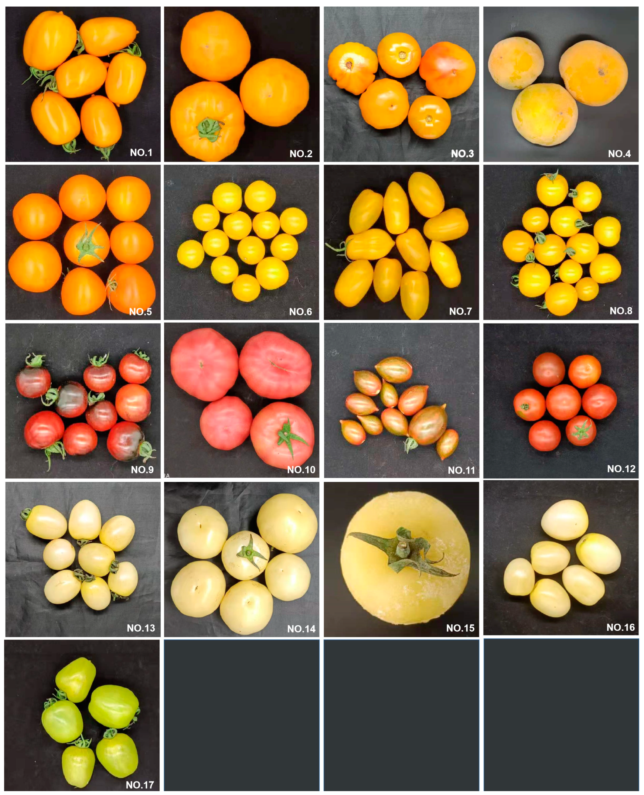 Foods 11 03333 g002 Foods 11 03333 g002