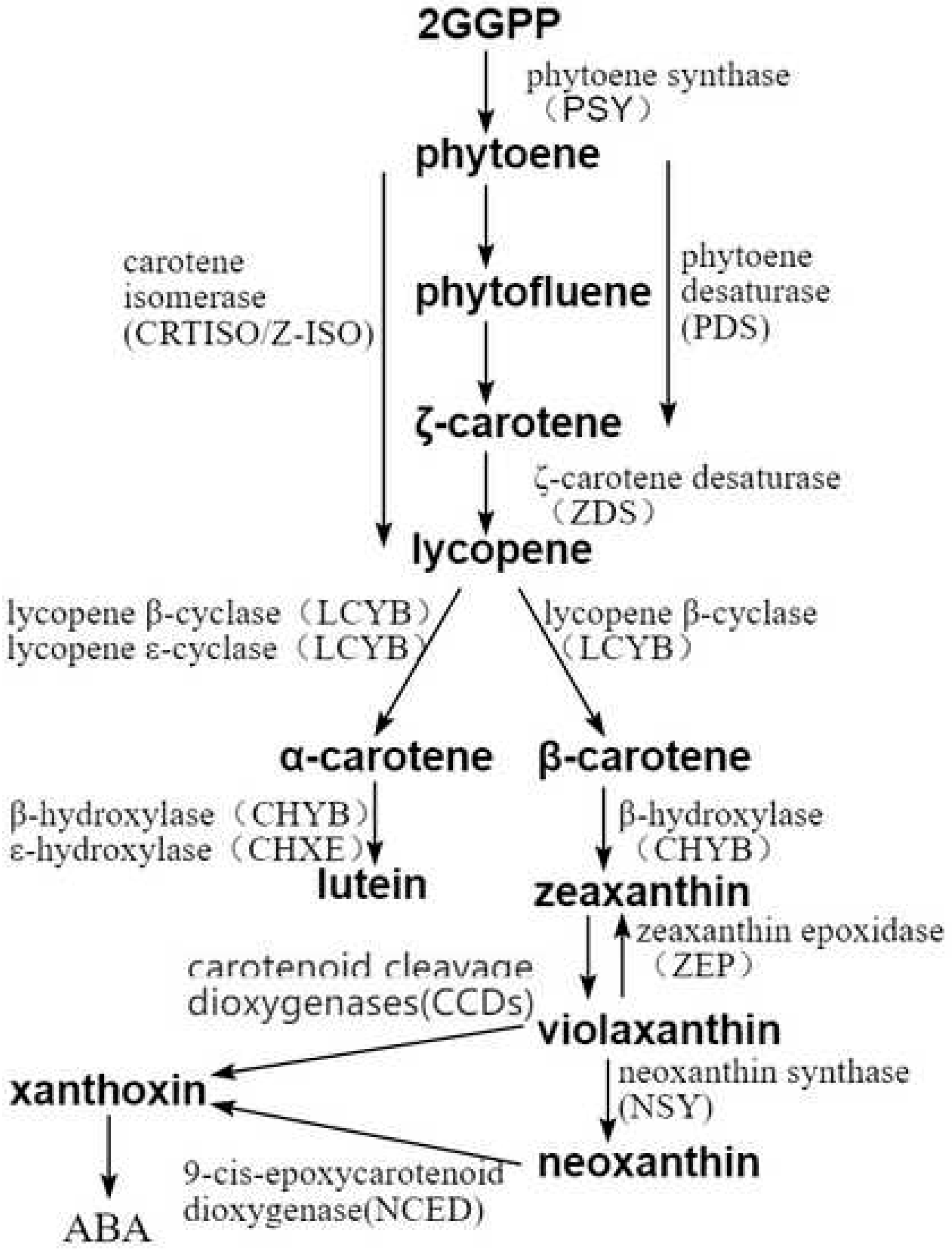 Foods 11 03333 g0a1 Foods 11 03333 g0a1