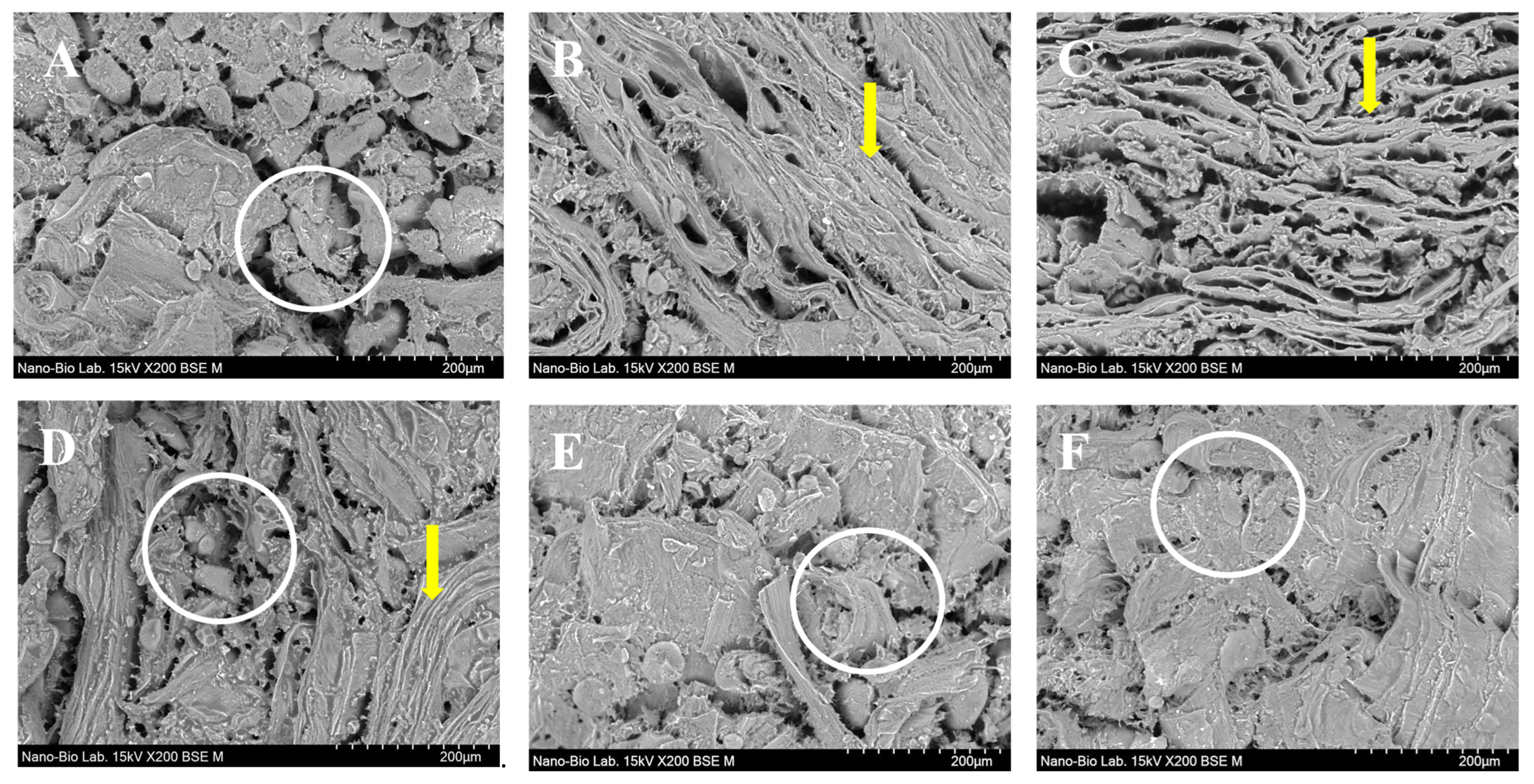 Foods 11 03337 g005 Foods 11 03337 g005