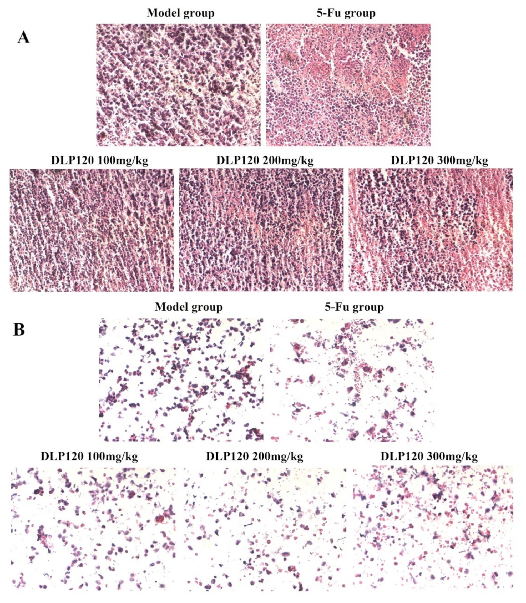 Foods 11 03340 g005 Foods 11 03340 g005