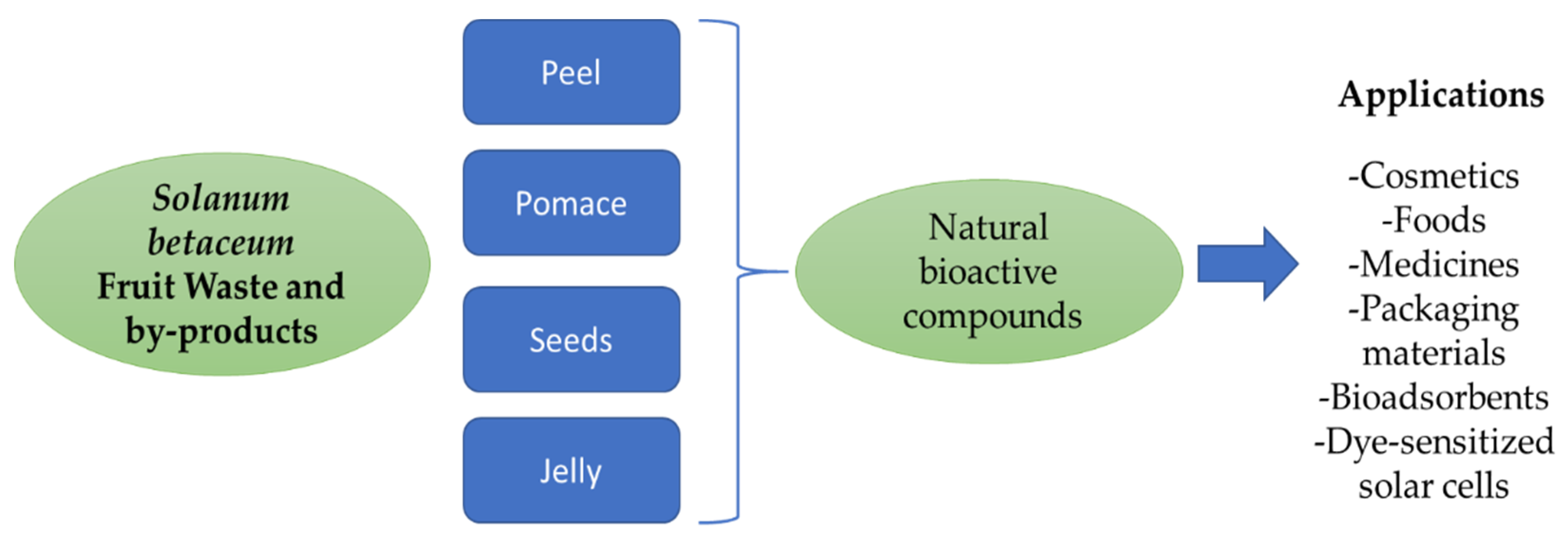 Foods 11 03363 g004 Foods 11 03363 g004