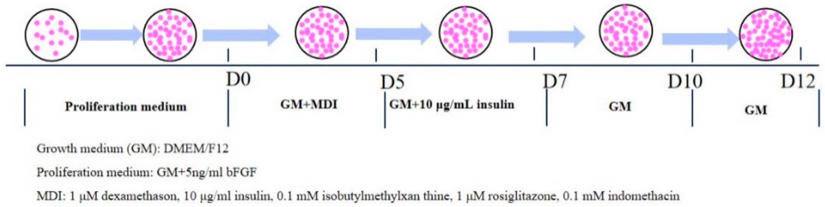 Foods 11 03364 g001 Foods 11 03364 g001