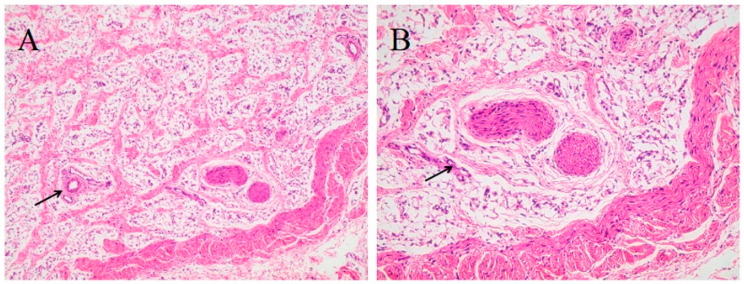 Foods 11 03364 g002 Foods 11 03364 g002