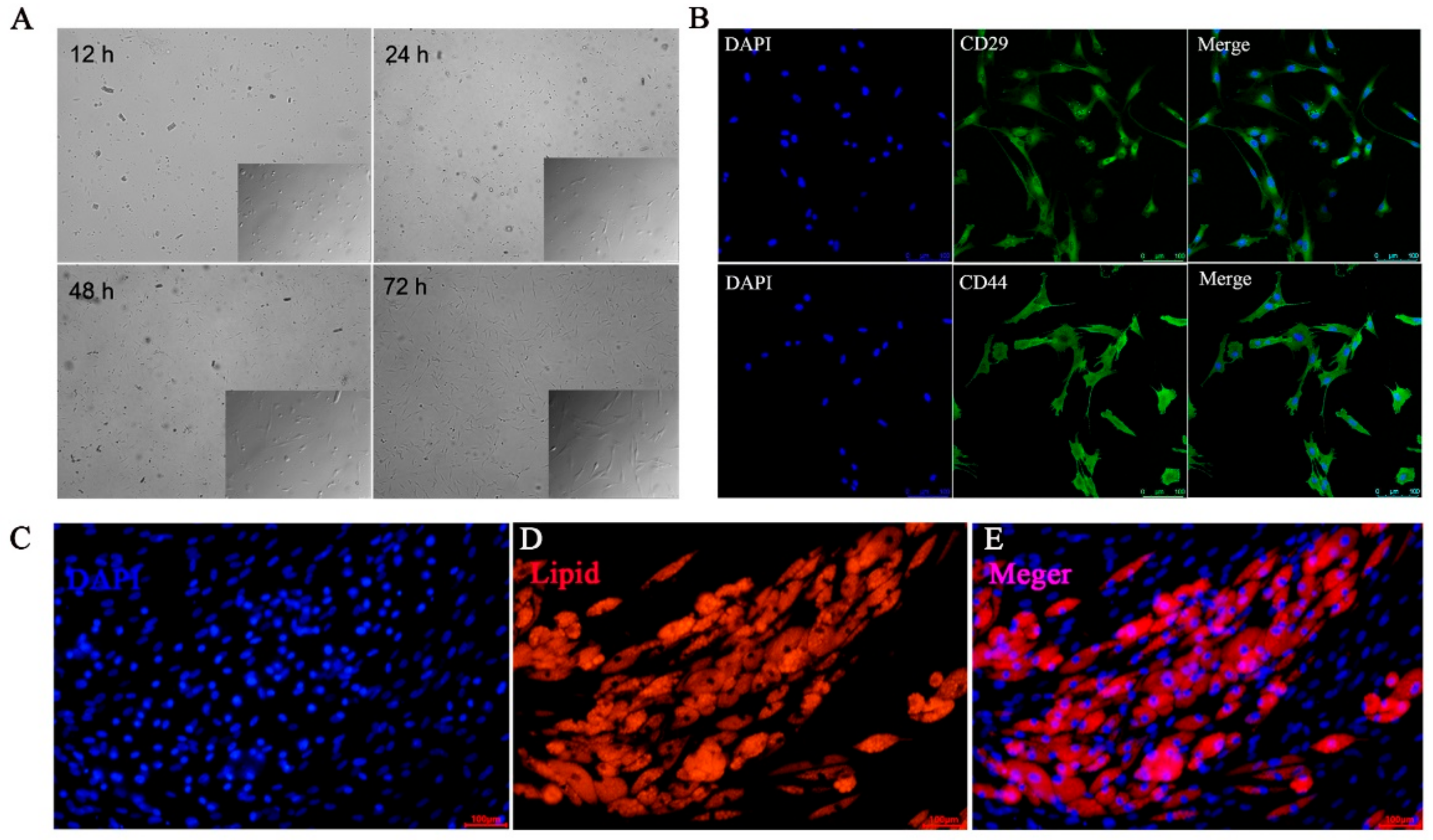 Foods 11 03364 g003 Foods 11 03364 g003
