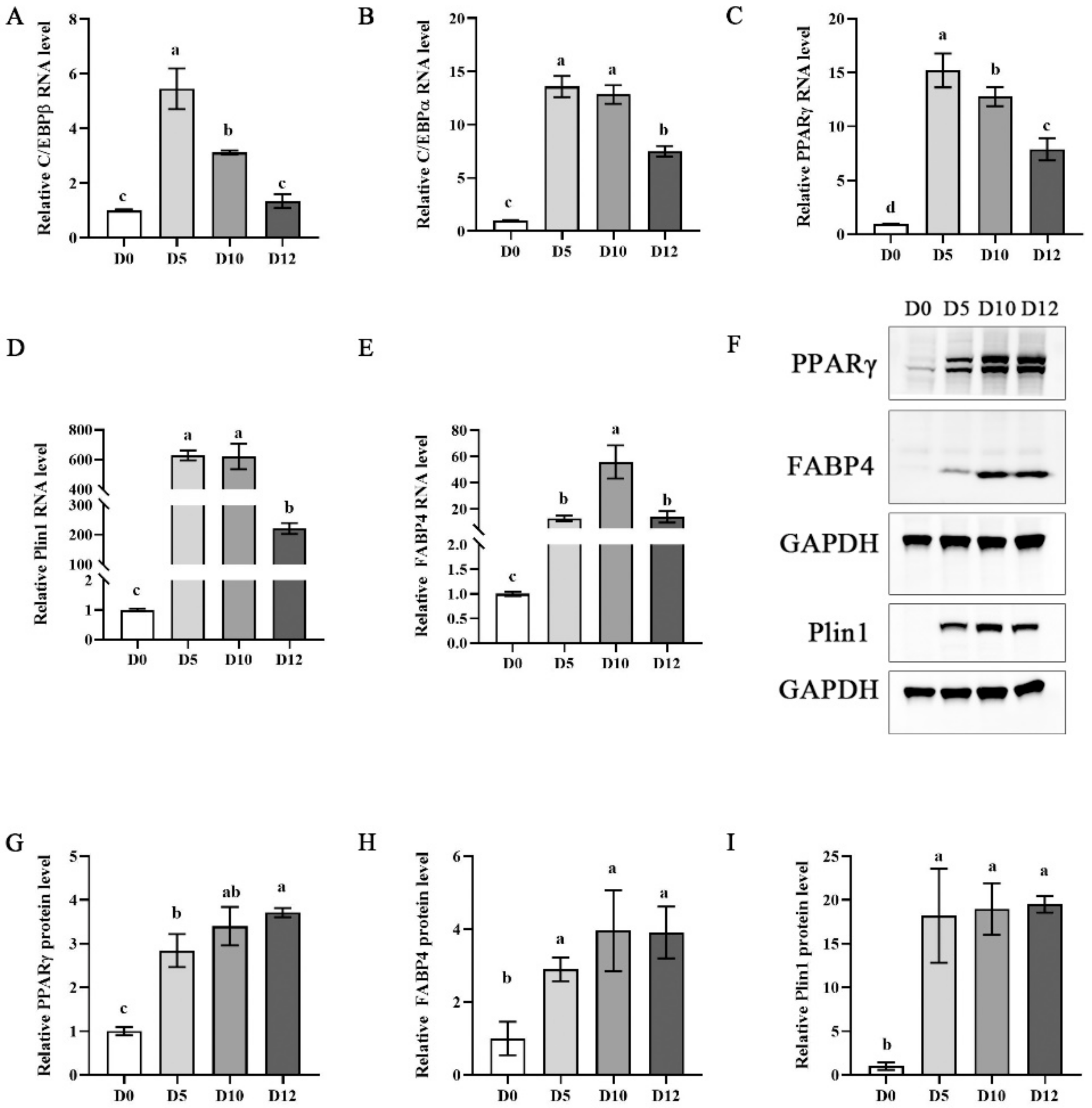 Foods 11 03364 g004 Foods 11 03364 g004