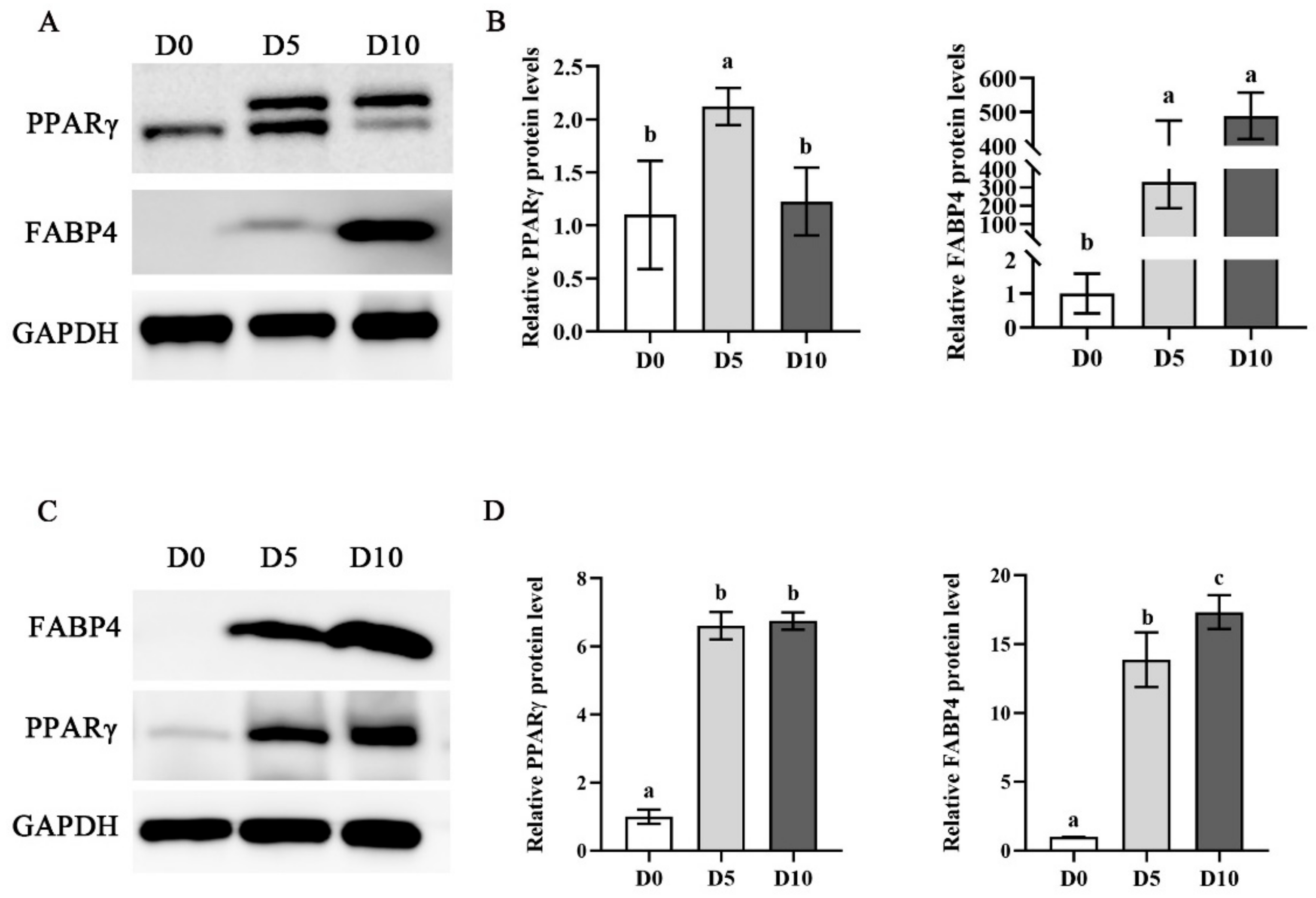 Foods 11 03364 g006 Foods 11 03364 g006