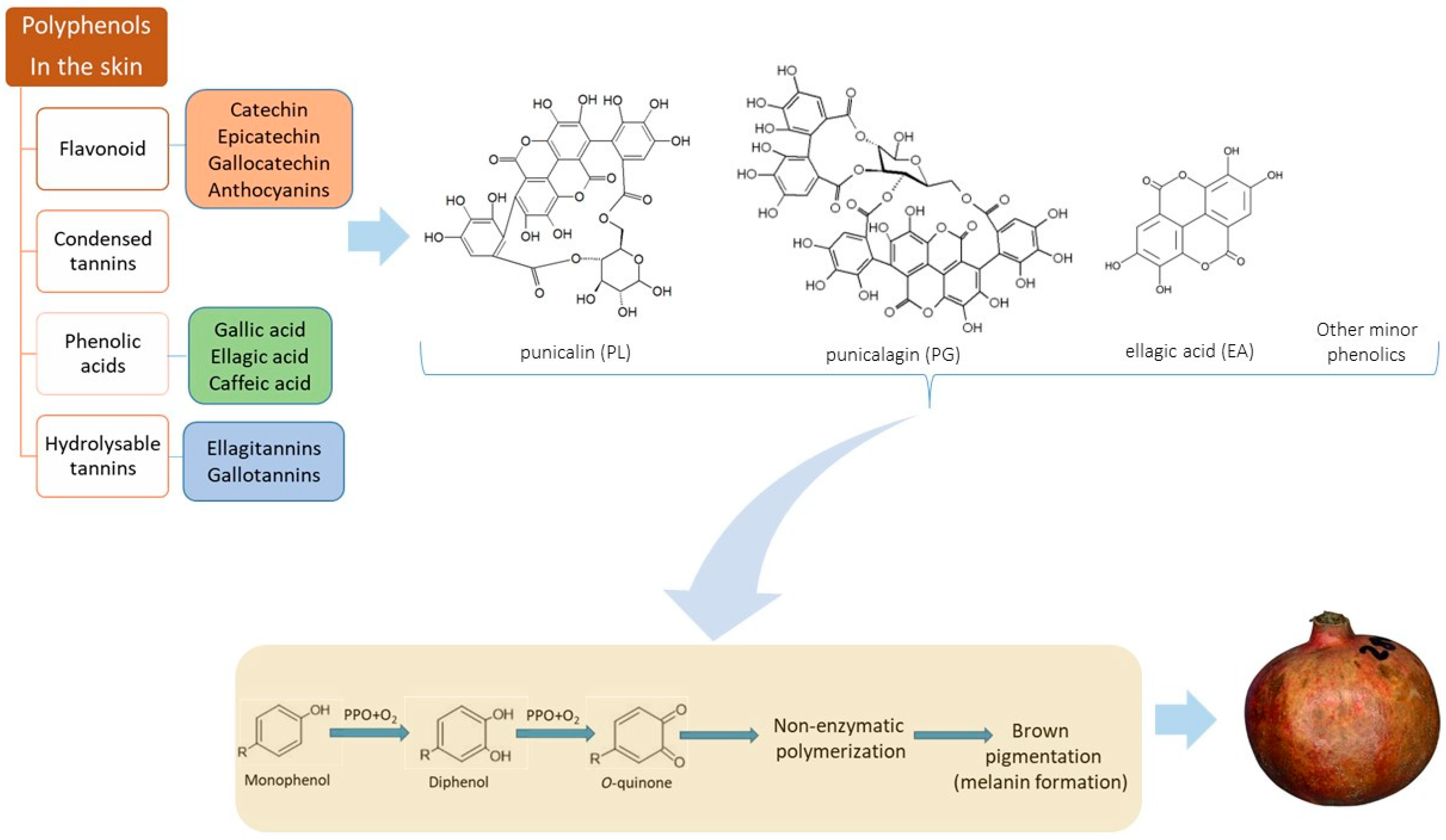 Foods 11 03365 g002 Foods 11 03365 g002