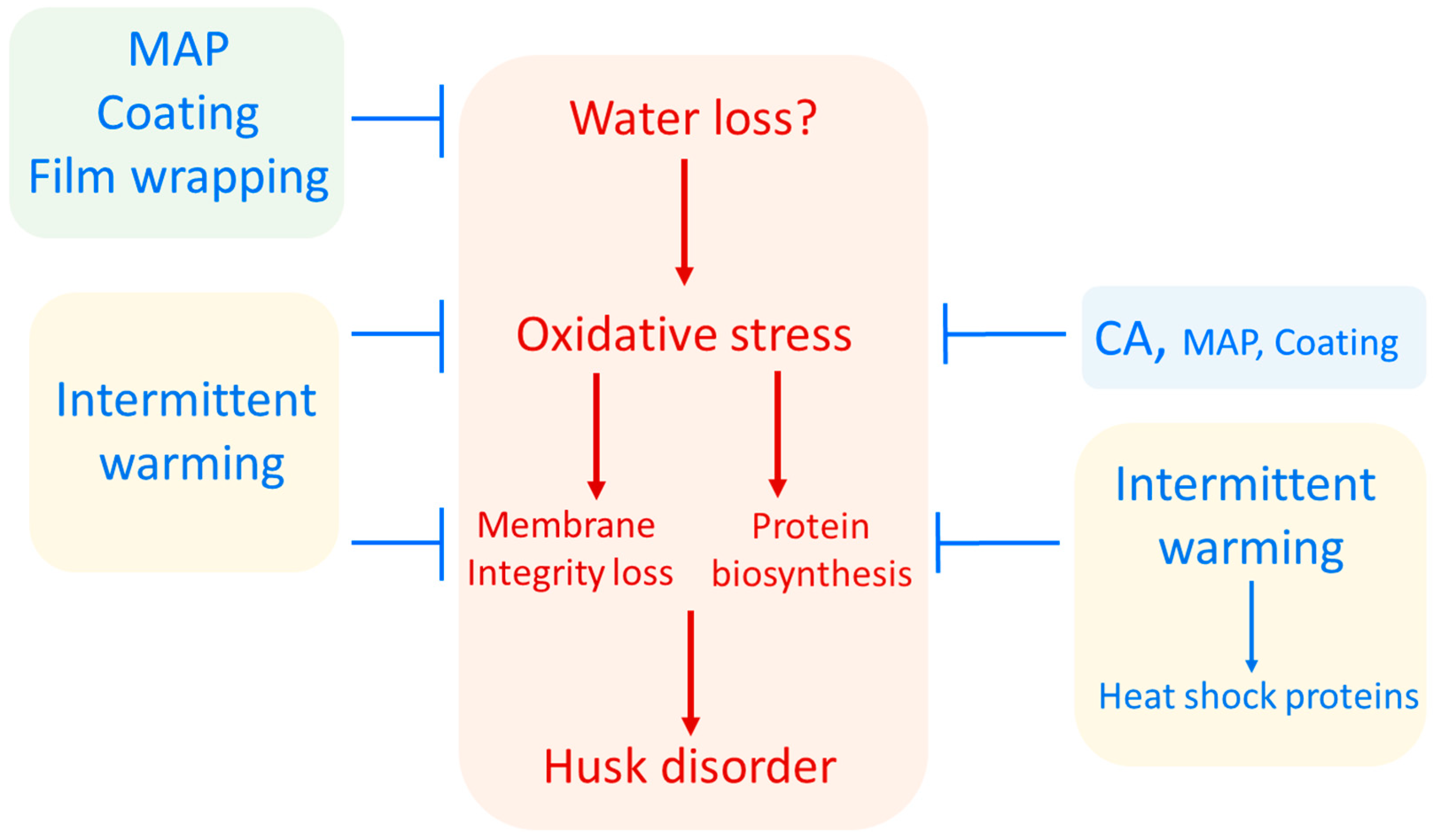 Foods 11 03365 g003 Foods 11 03365 g003