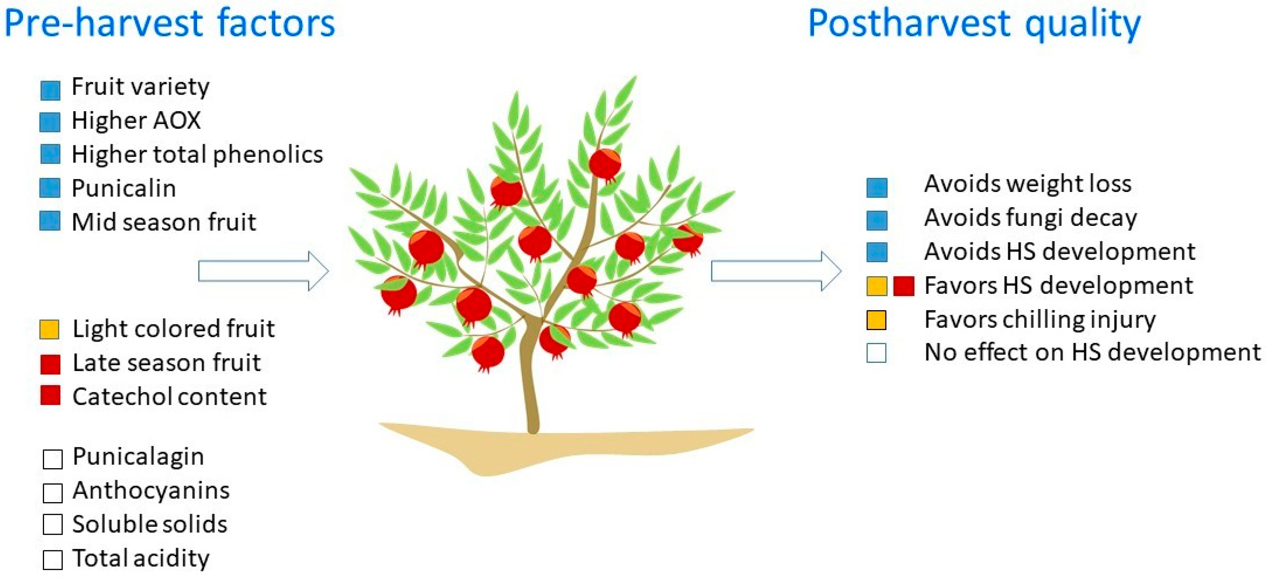 Foods 11 03365 g004 Foods 11 03365 g004