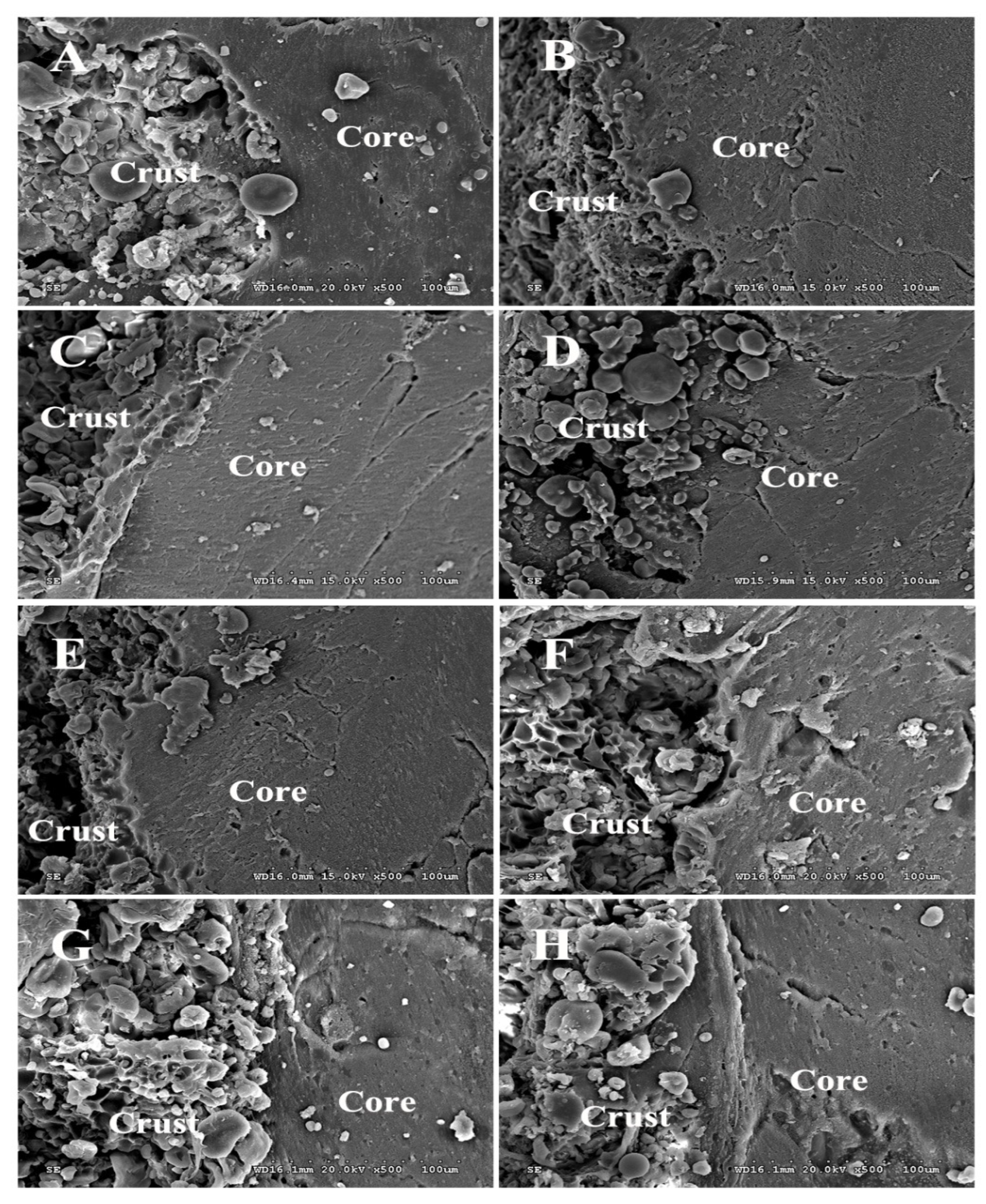 Foods 11 03369 g002 Foods 11 03369 g002