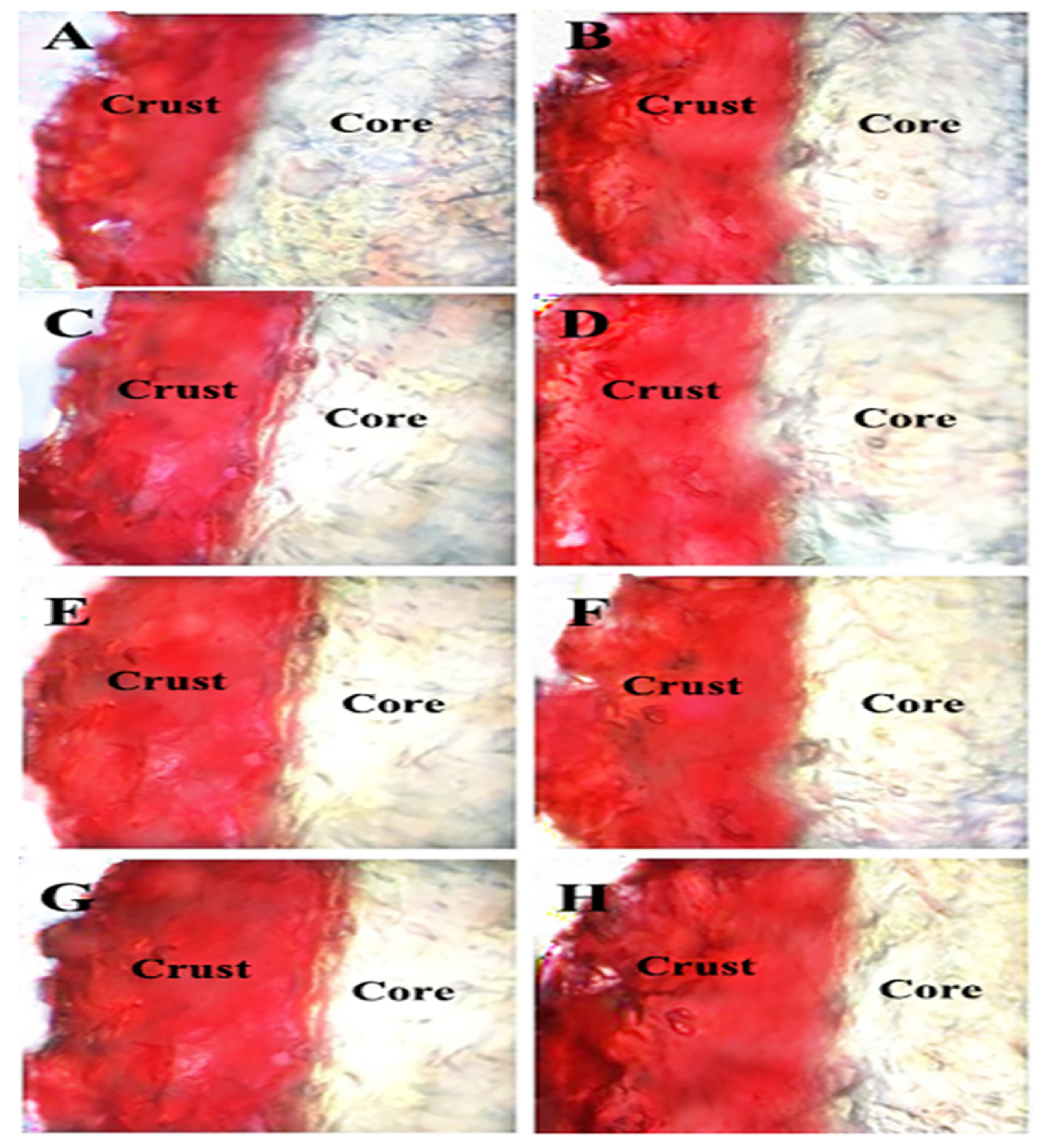 Foods 11 03369 g003 Foods 11 03369 g003
