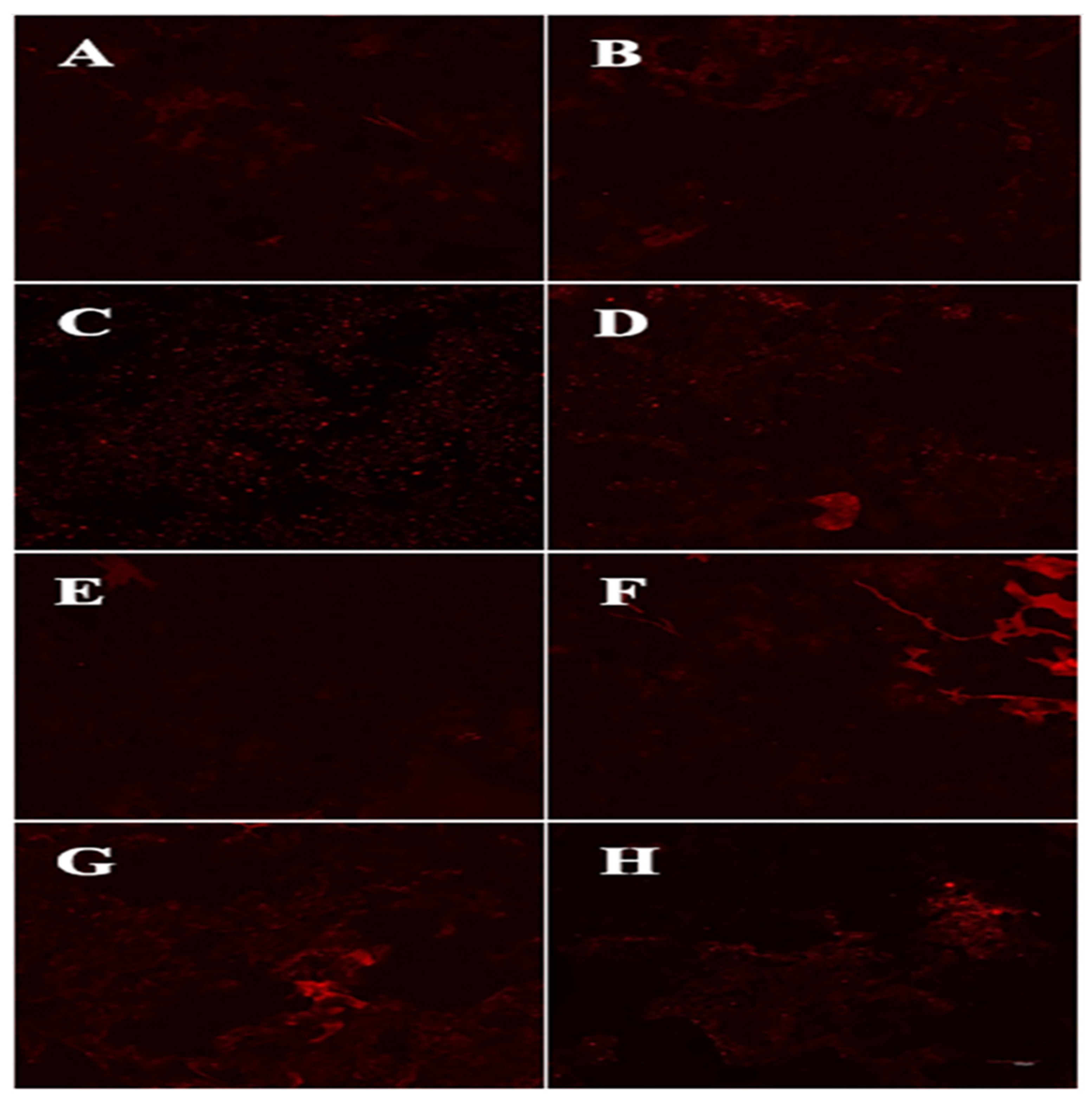 Foods 11 03369 g004 Foods 11 03369 g004