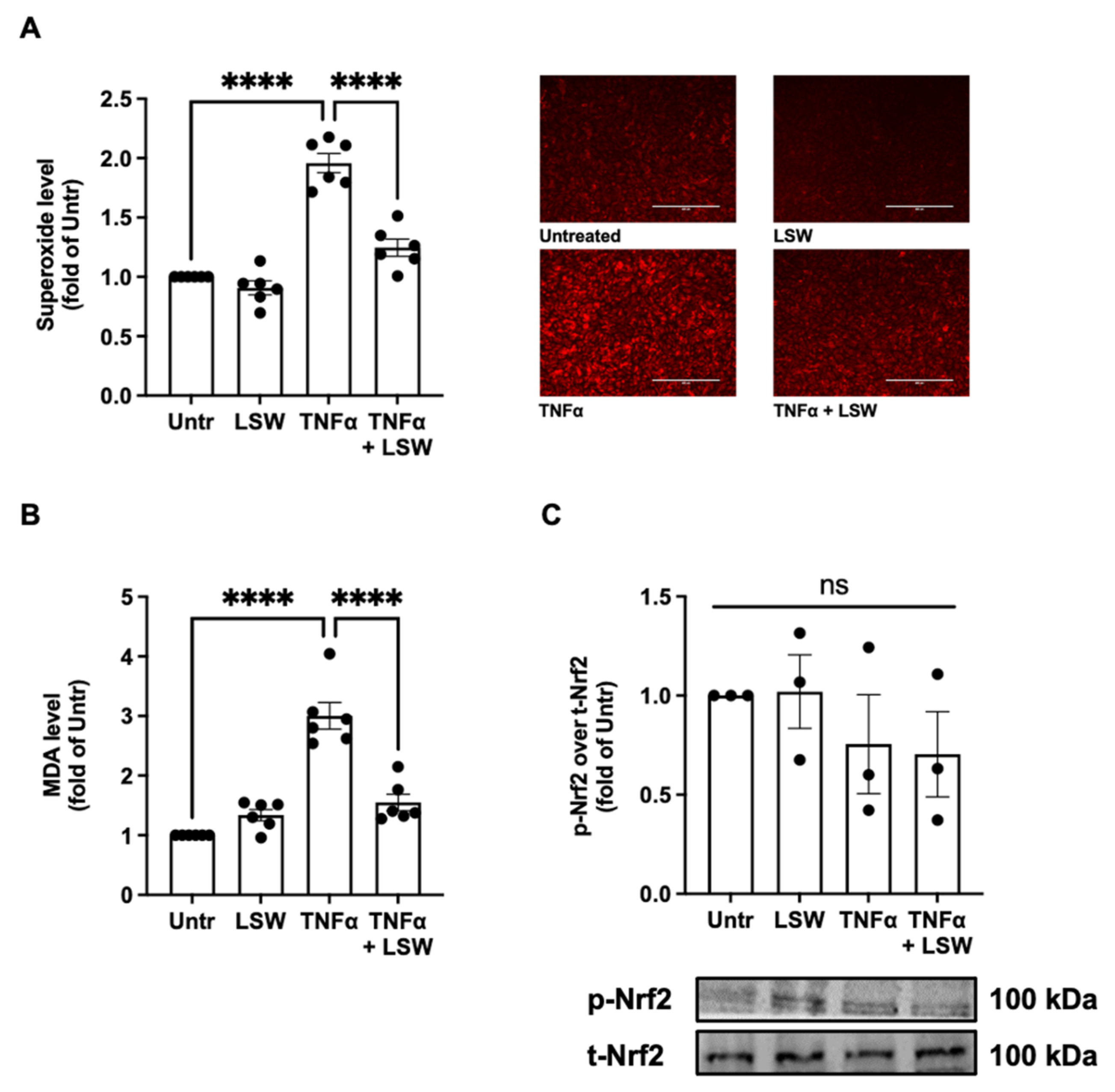 Foods 11 03372 g002 Foods 11 03372 g002
