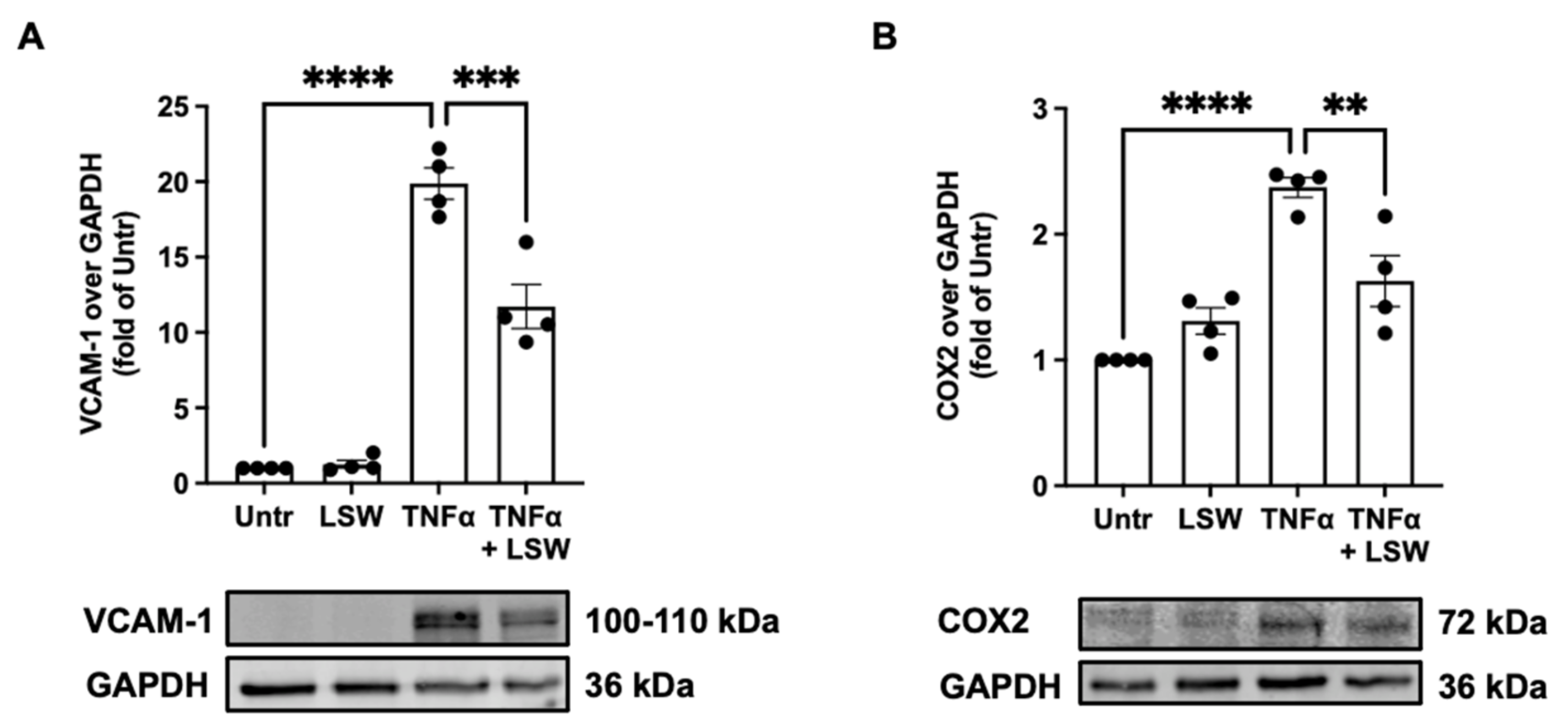 Foods 11 03372 g003 Foods 11 03372 g003
