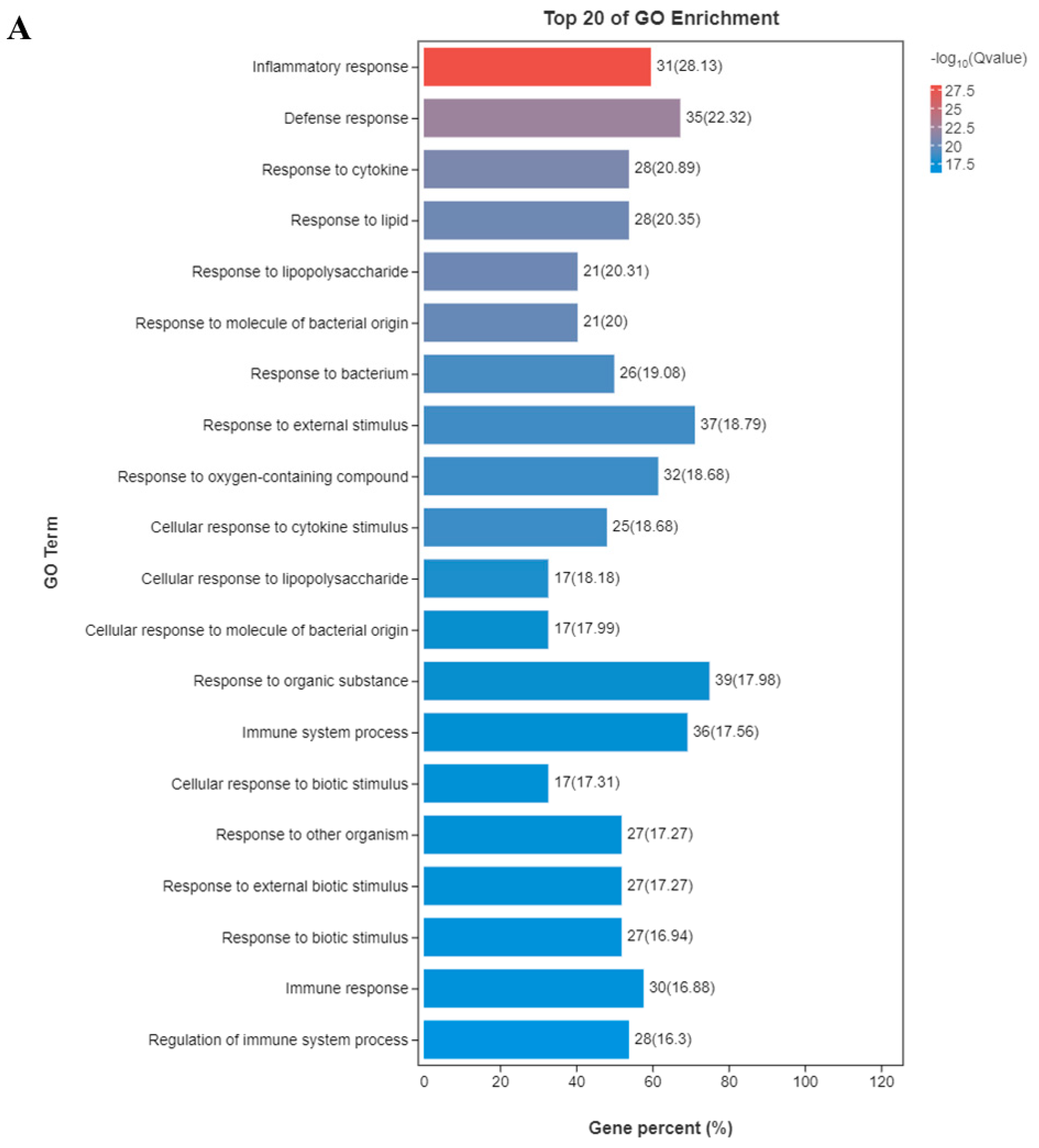 Foods 11 03378 g003a Foods 11 03378 g003a